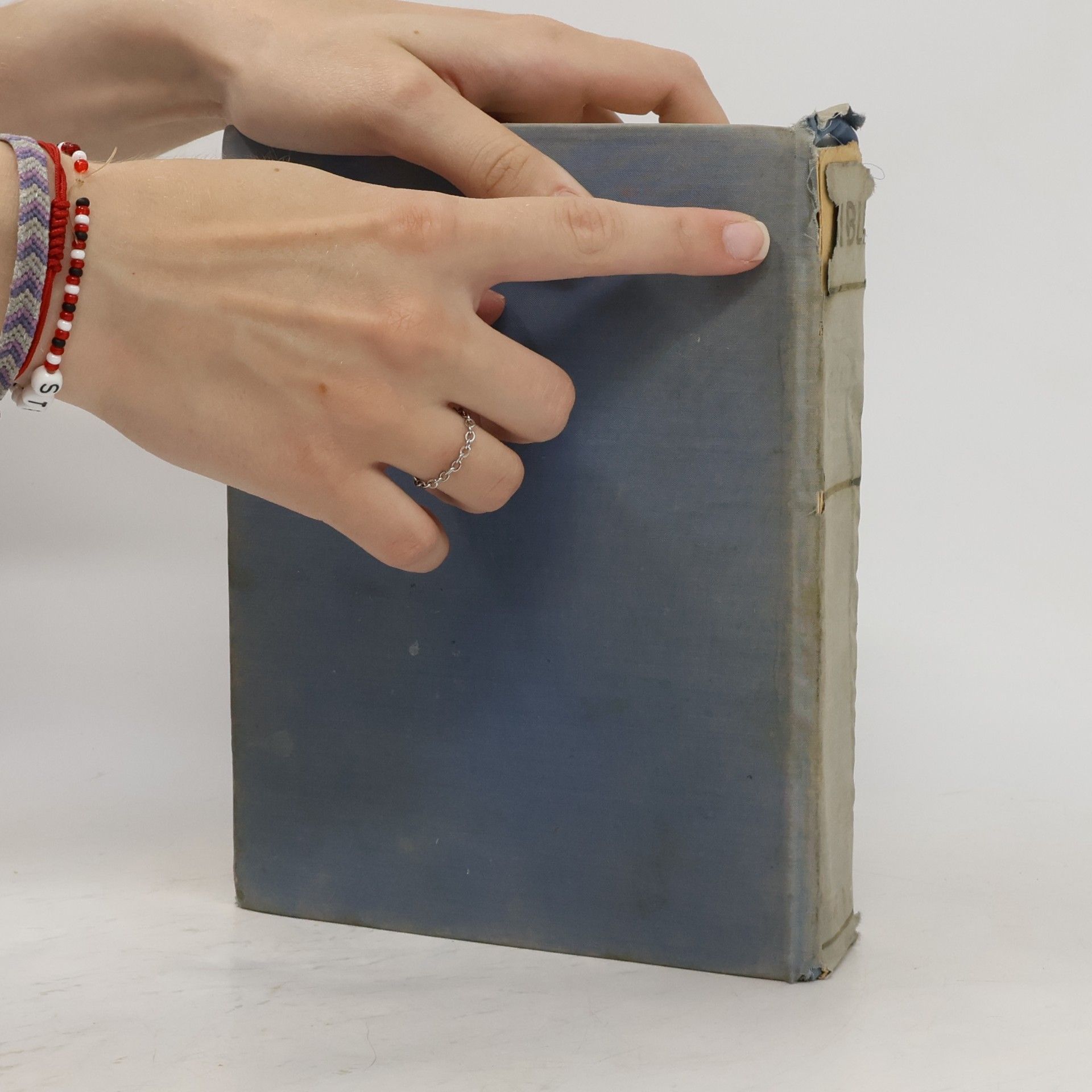 Auteurscollectief Bible. Písmo svaté Starého a Nového zákona