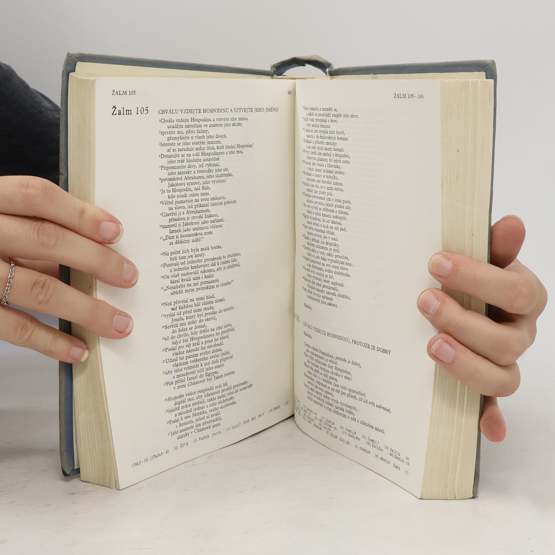 Auteurscollectief Bible. Písmo svaté Starého a Nového zákona