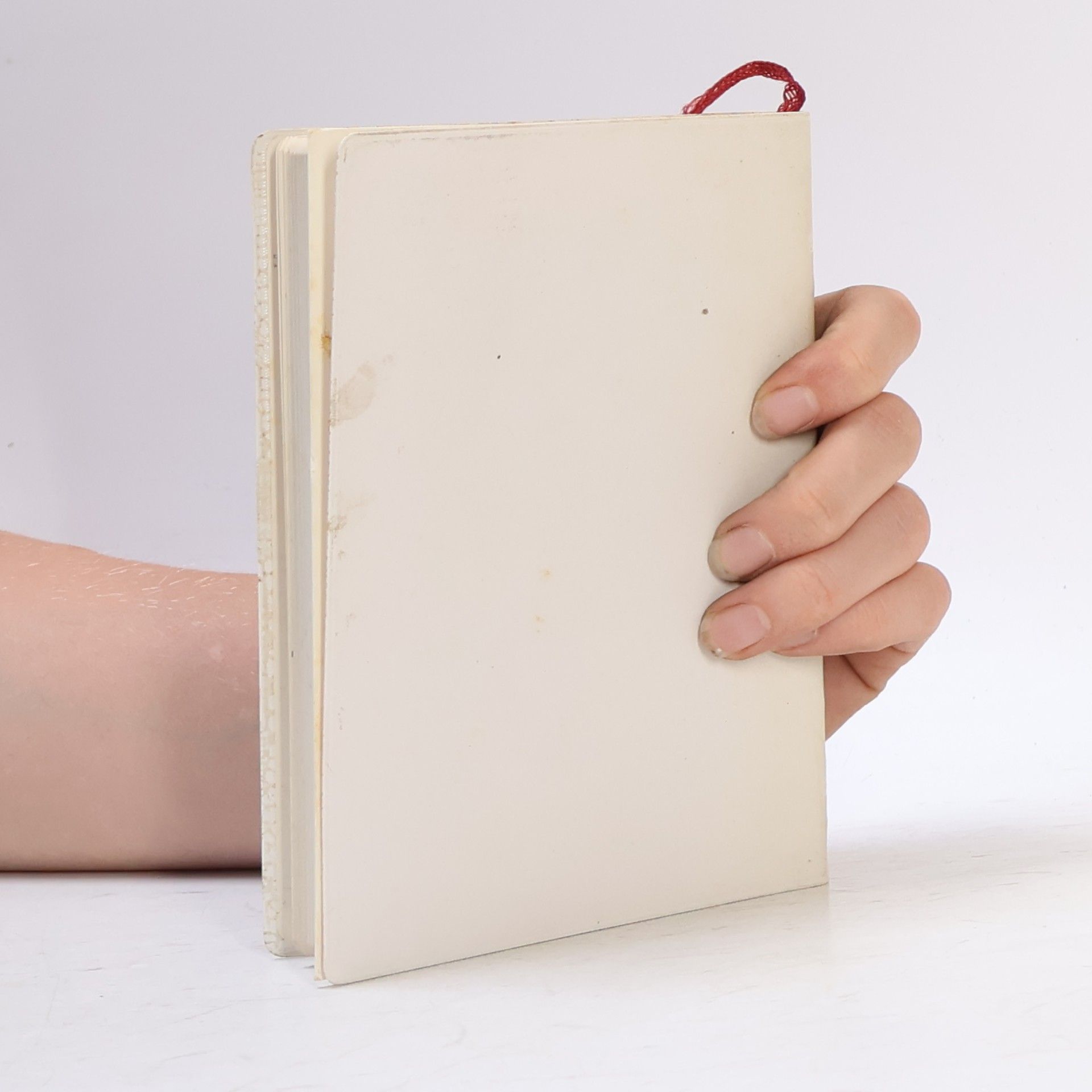 Collectif d'auteurs 新約聖書