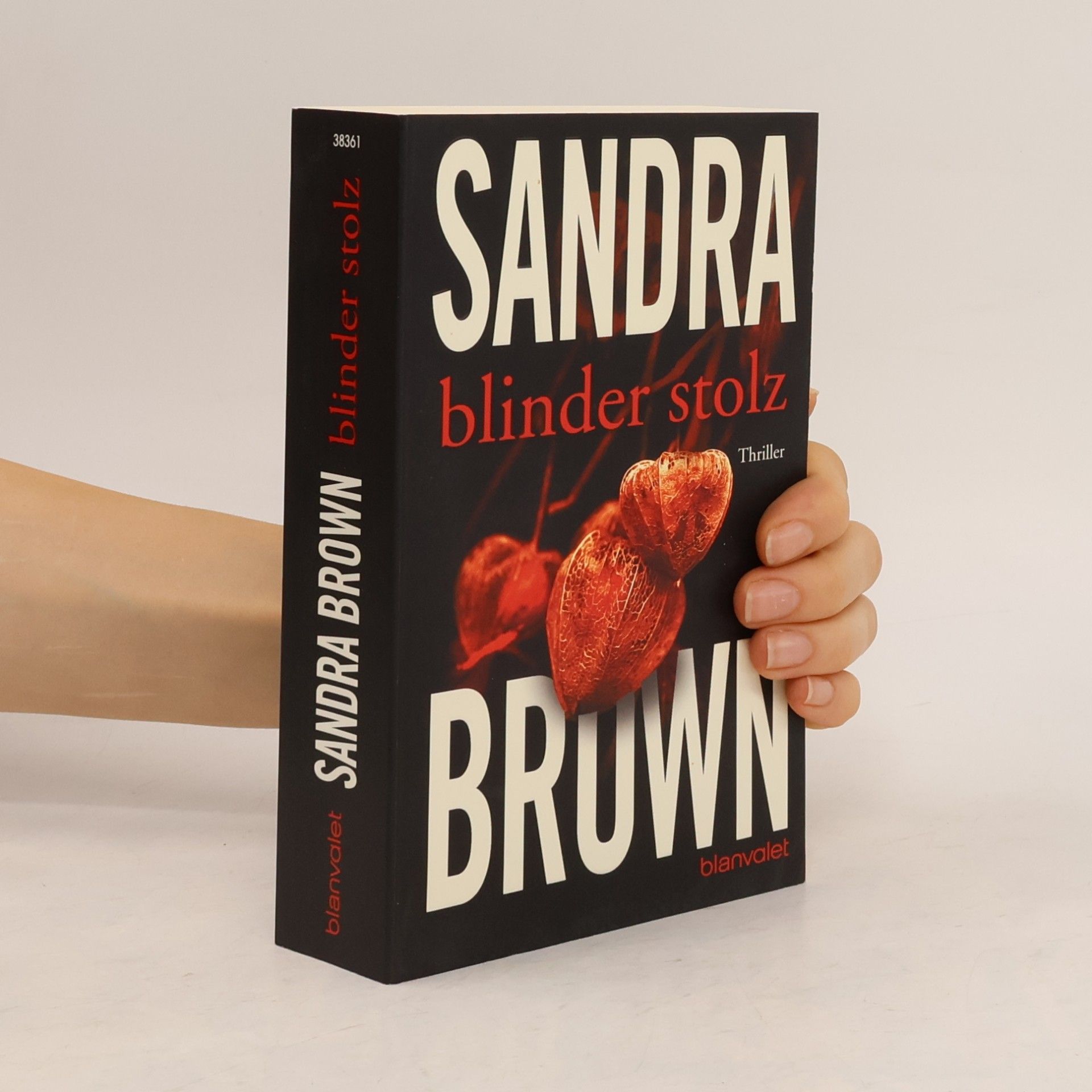 Sandra Brown Blinder Stolz