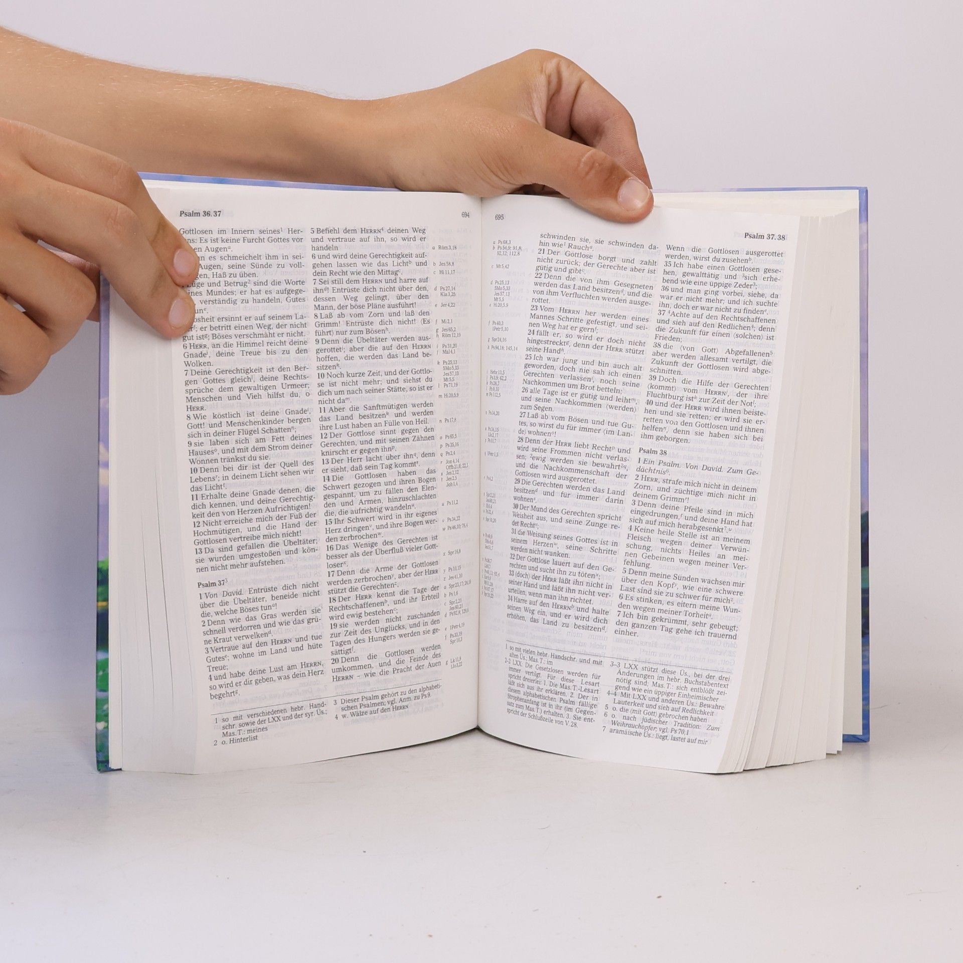 Die Bibel