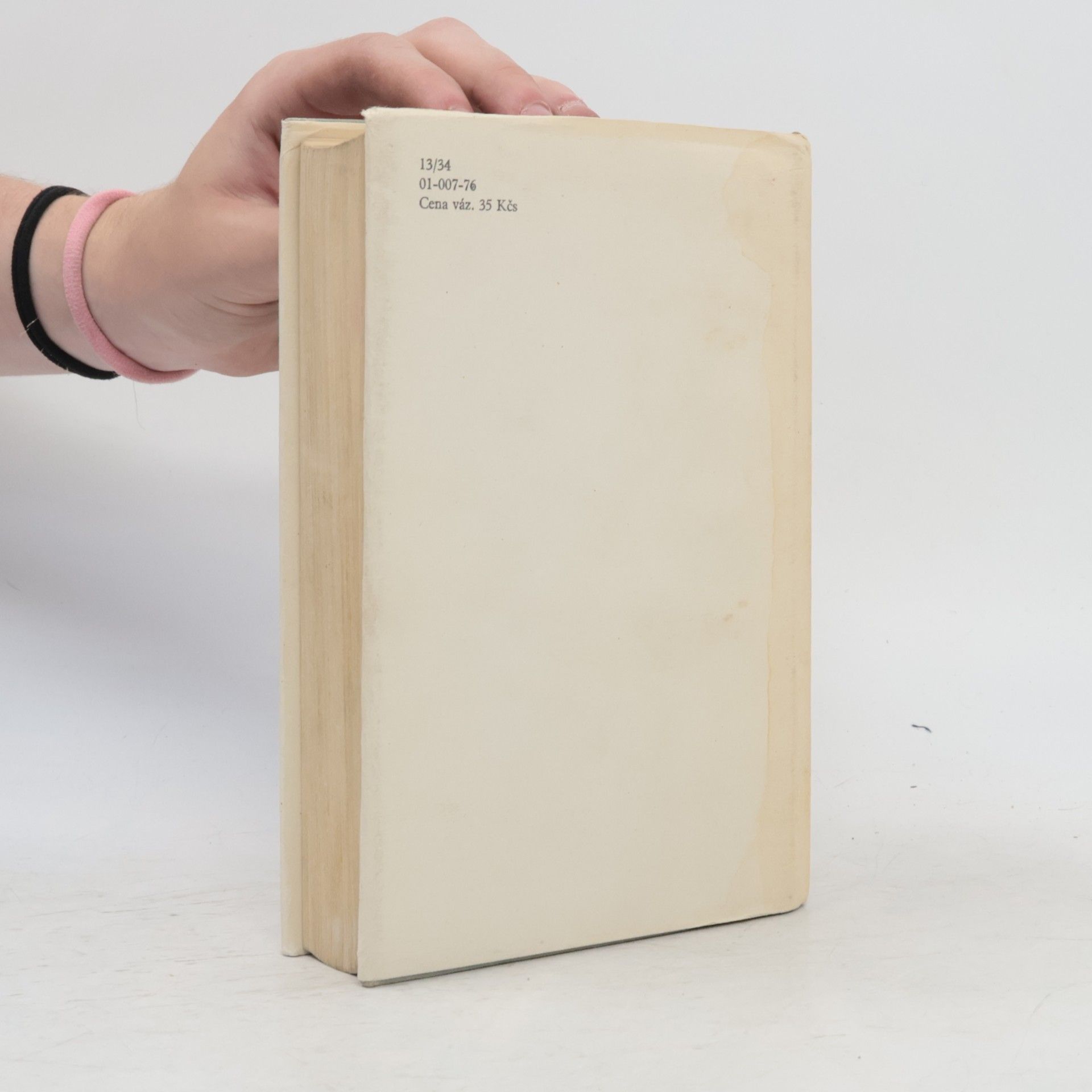 Raymond Chandler Poslední útočiště