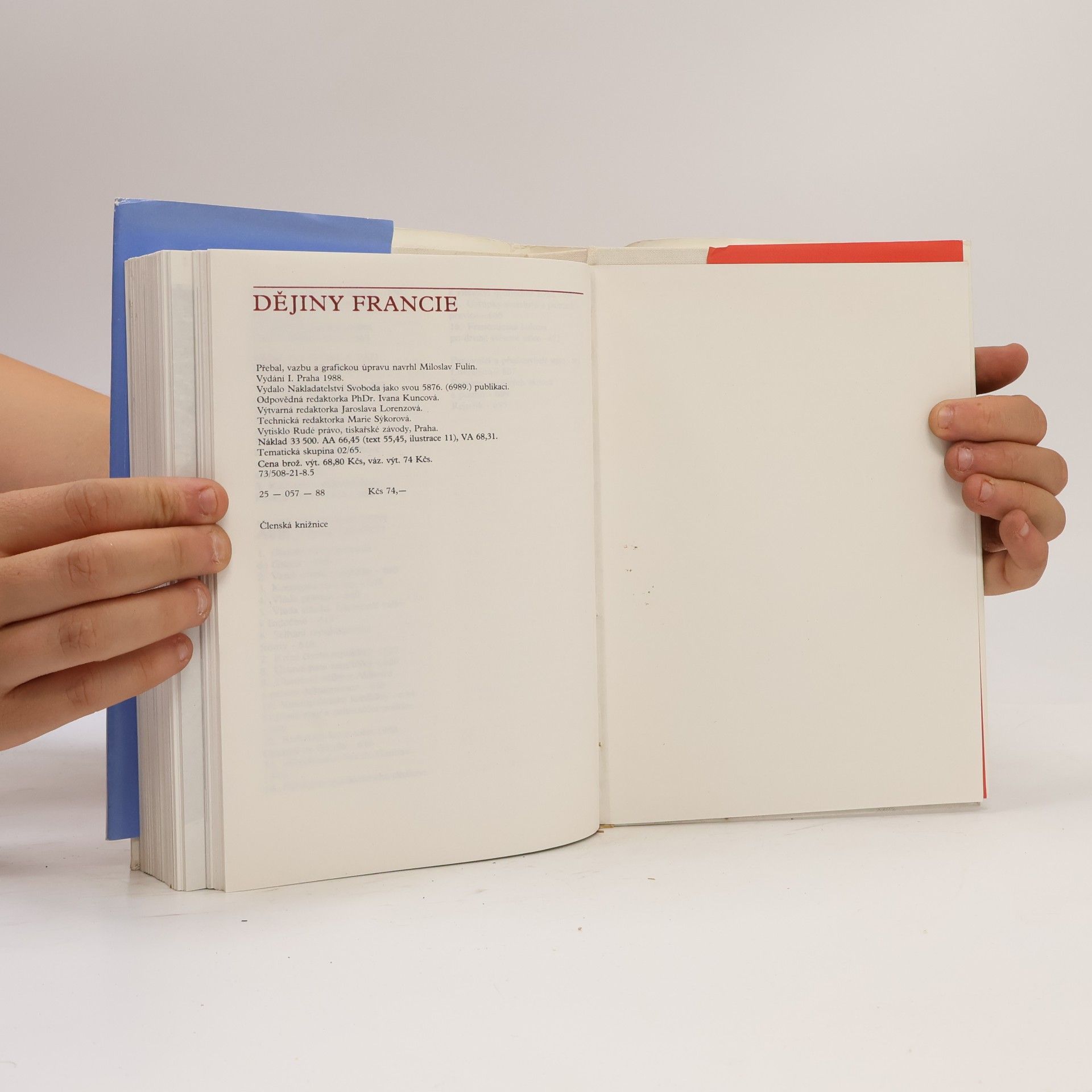 Autores varios Dějiny Francie