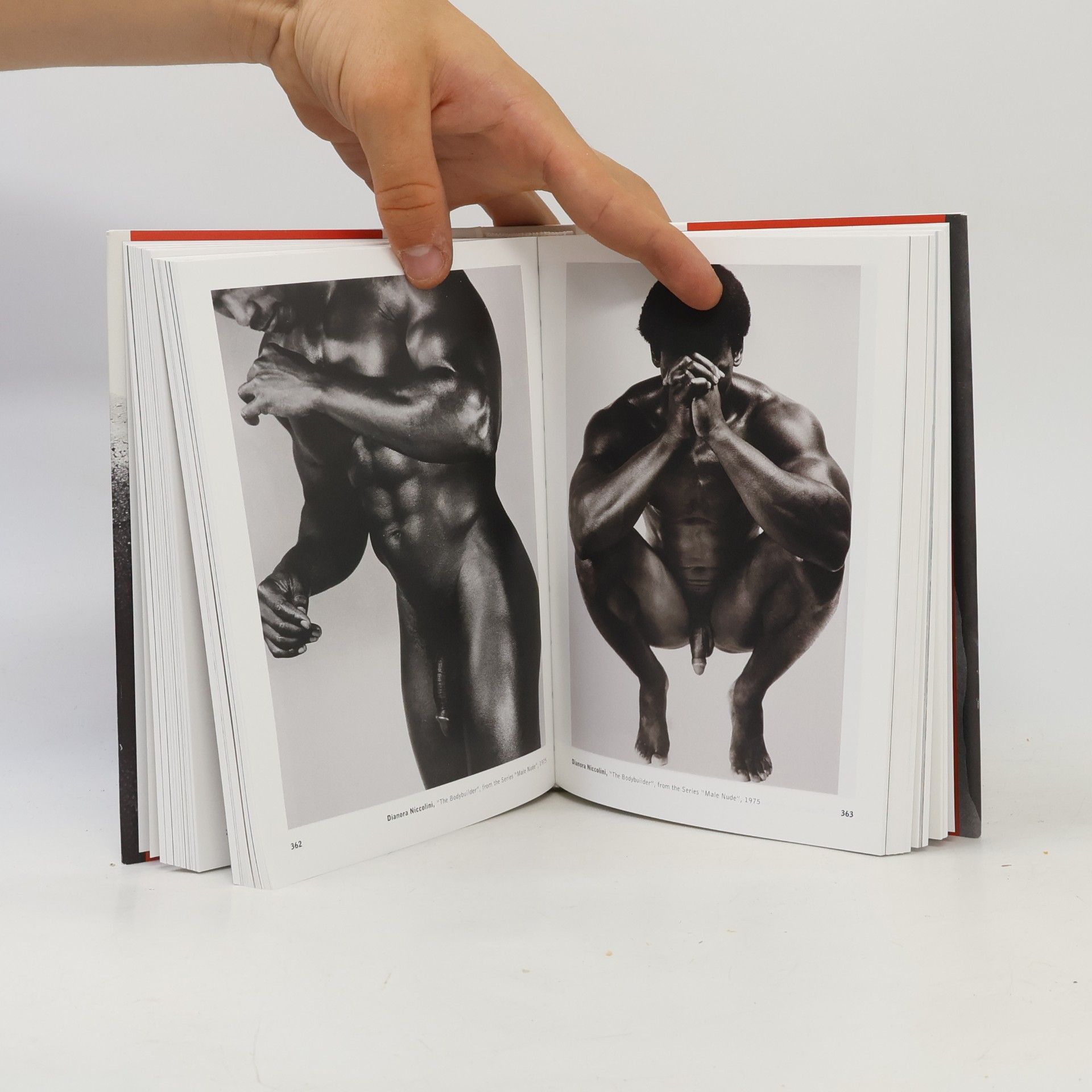 David Leddick The Male Nude (pevná vazba)