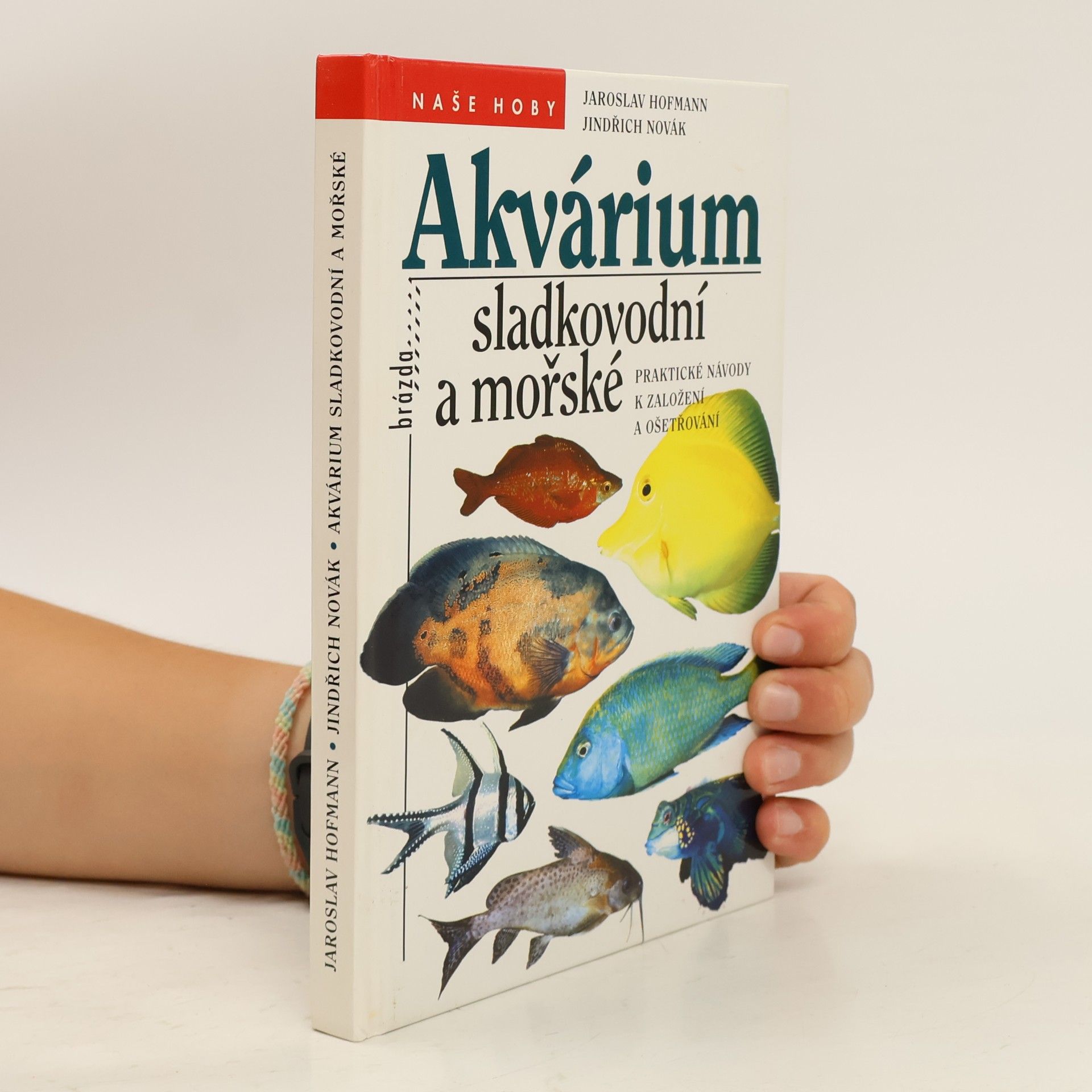 Jindřich Novák Akvárium sladkovodní a mořské : praktické návody k založení a ošetřování