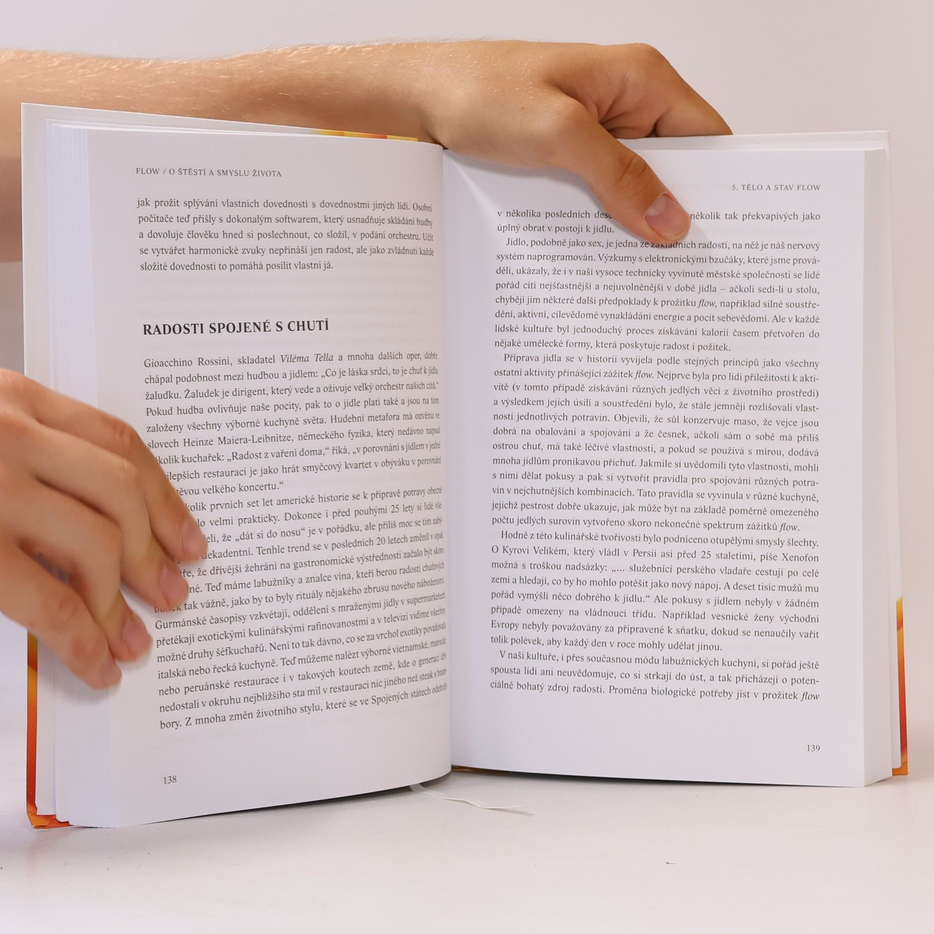 Mihaly Csikszentmihalyi Flow, o štěstí a smyslu života