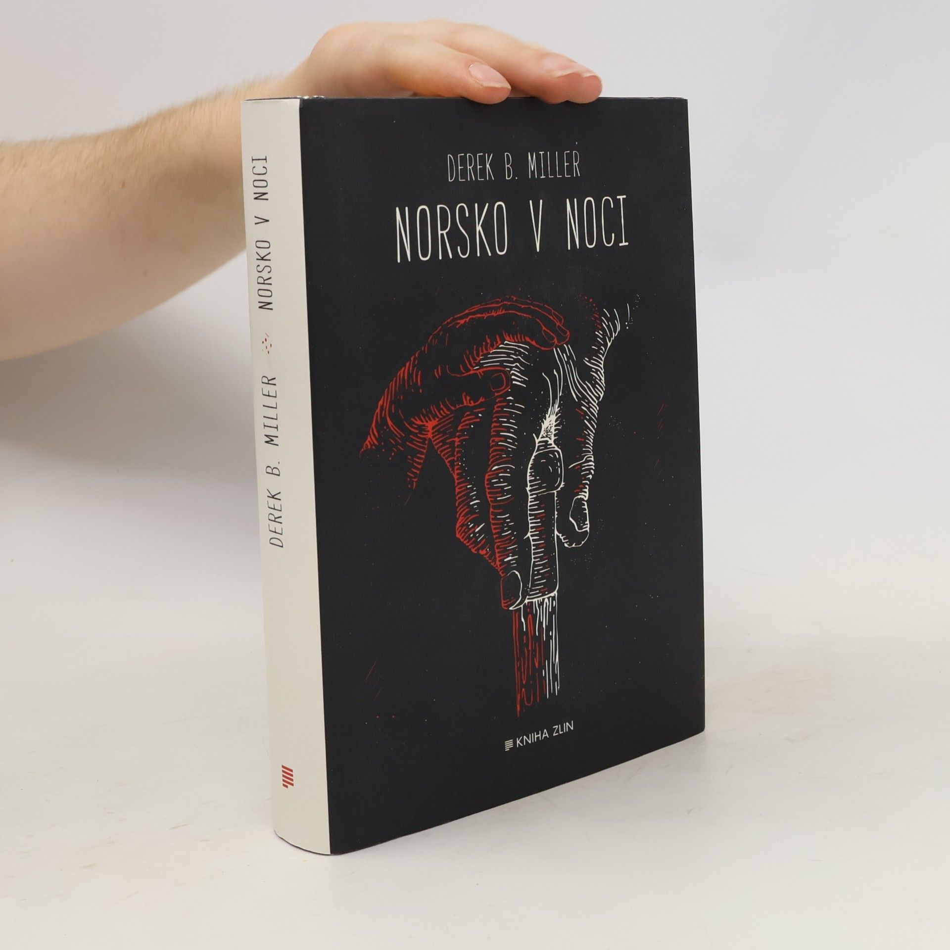 Derek B. Miller Norsko v noci