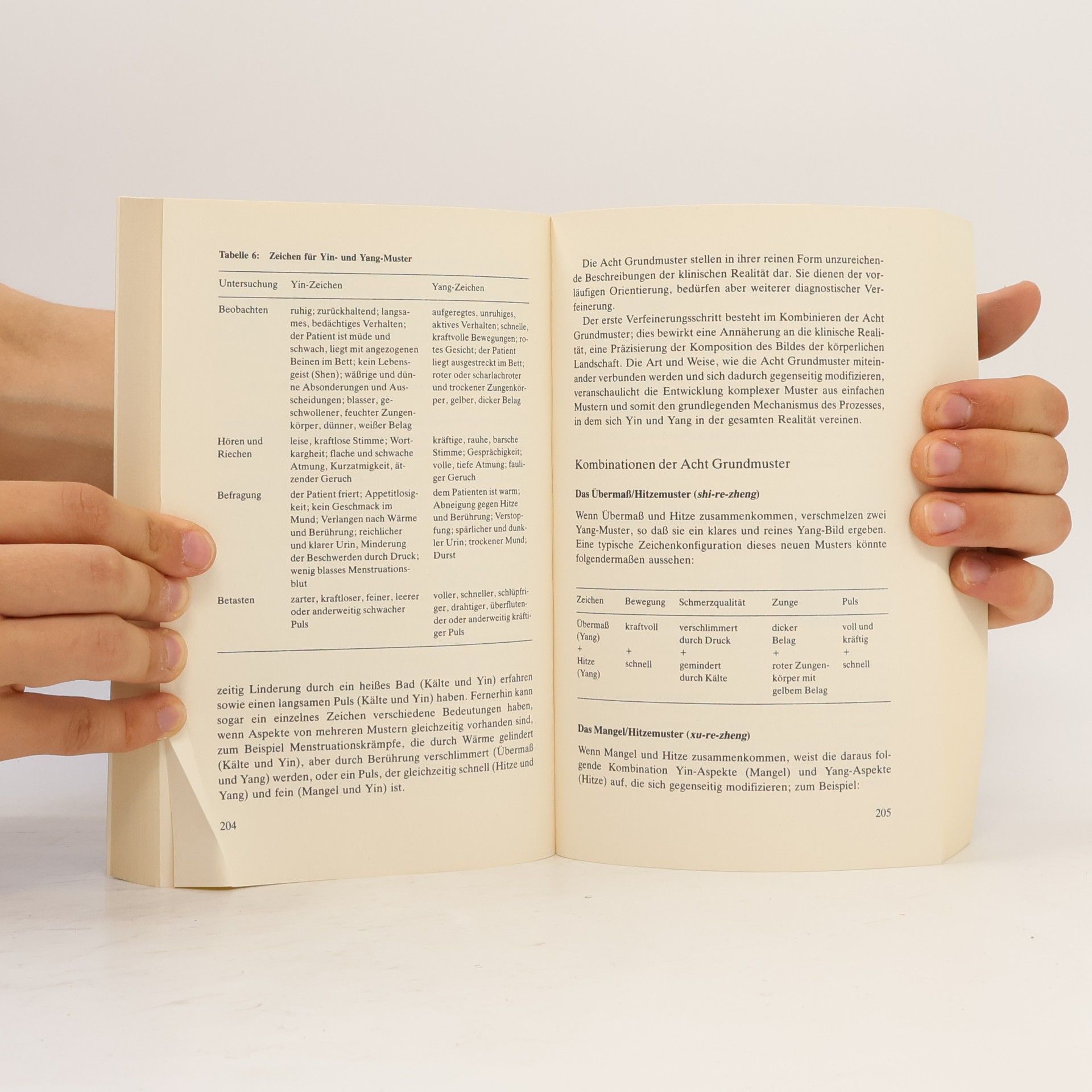 Ted Kaptchuk Das große Buch der chinesischen Medizin