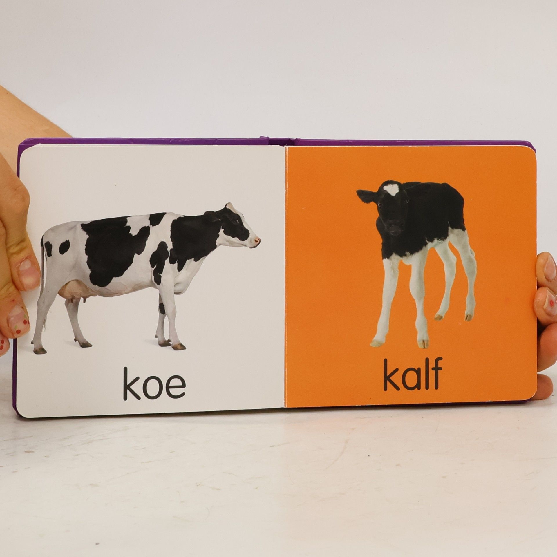Autorenkollektiv Dieren