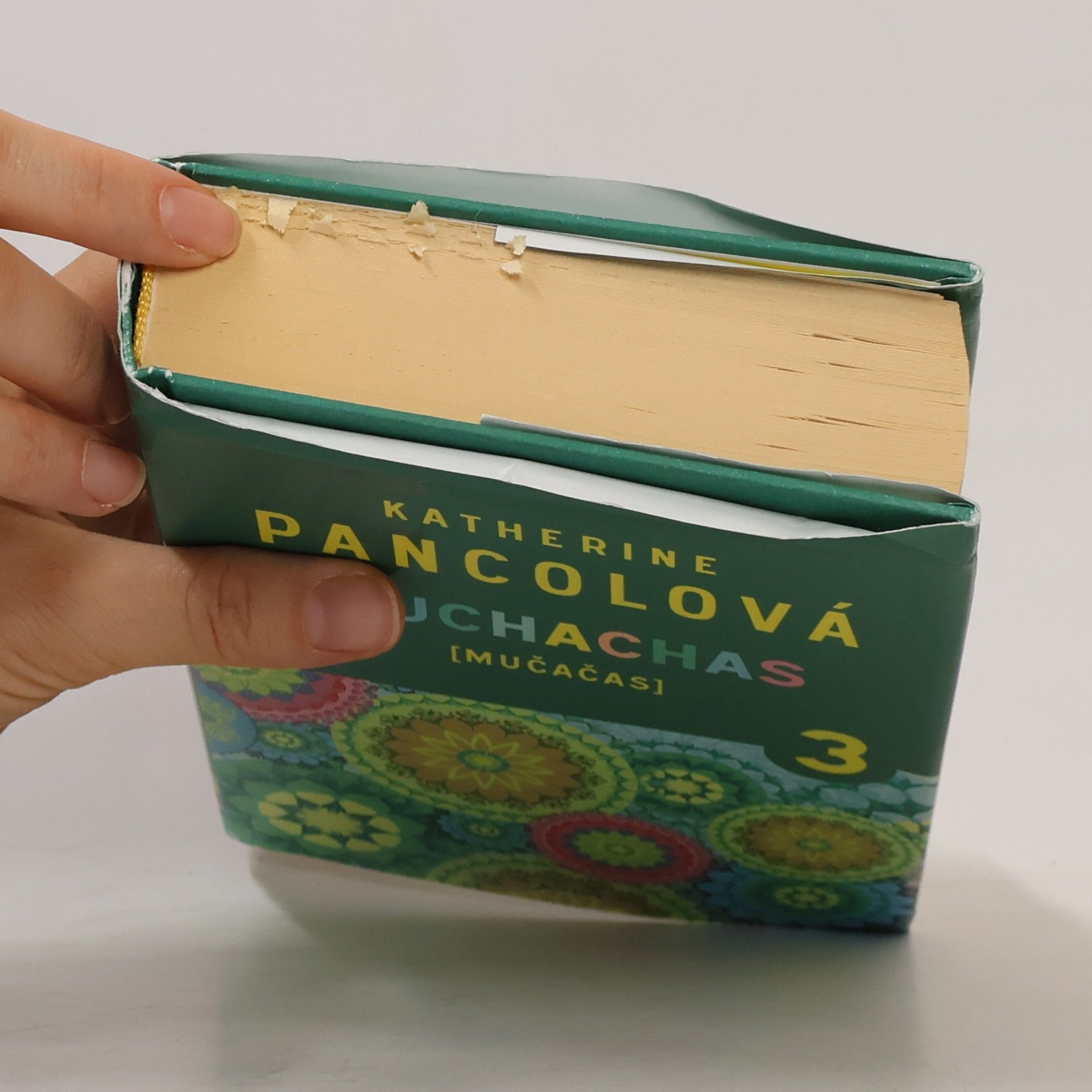 Katherine Pancol Muchachas (mučačas). 3
