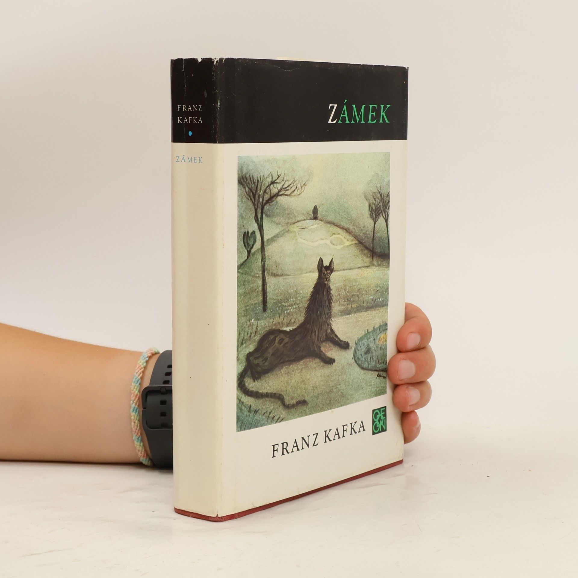 Franz Kafka Zámek