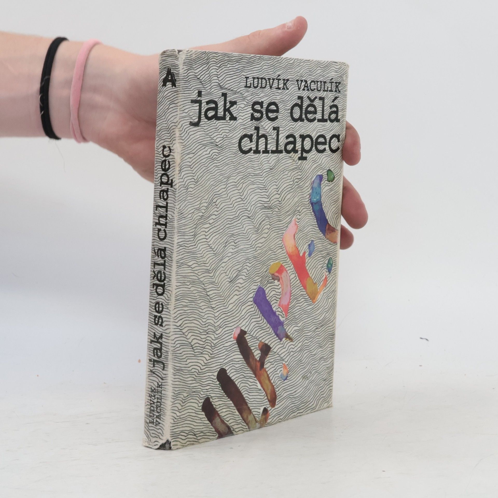 Ludvík Vaculík Jak se dělá chlapec