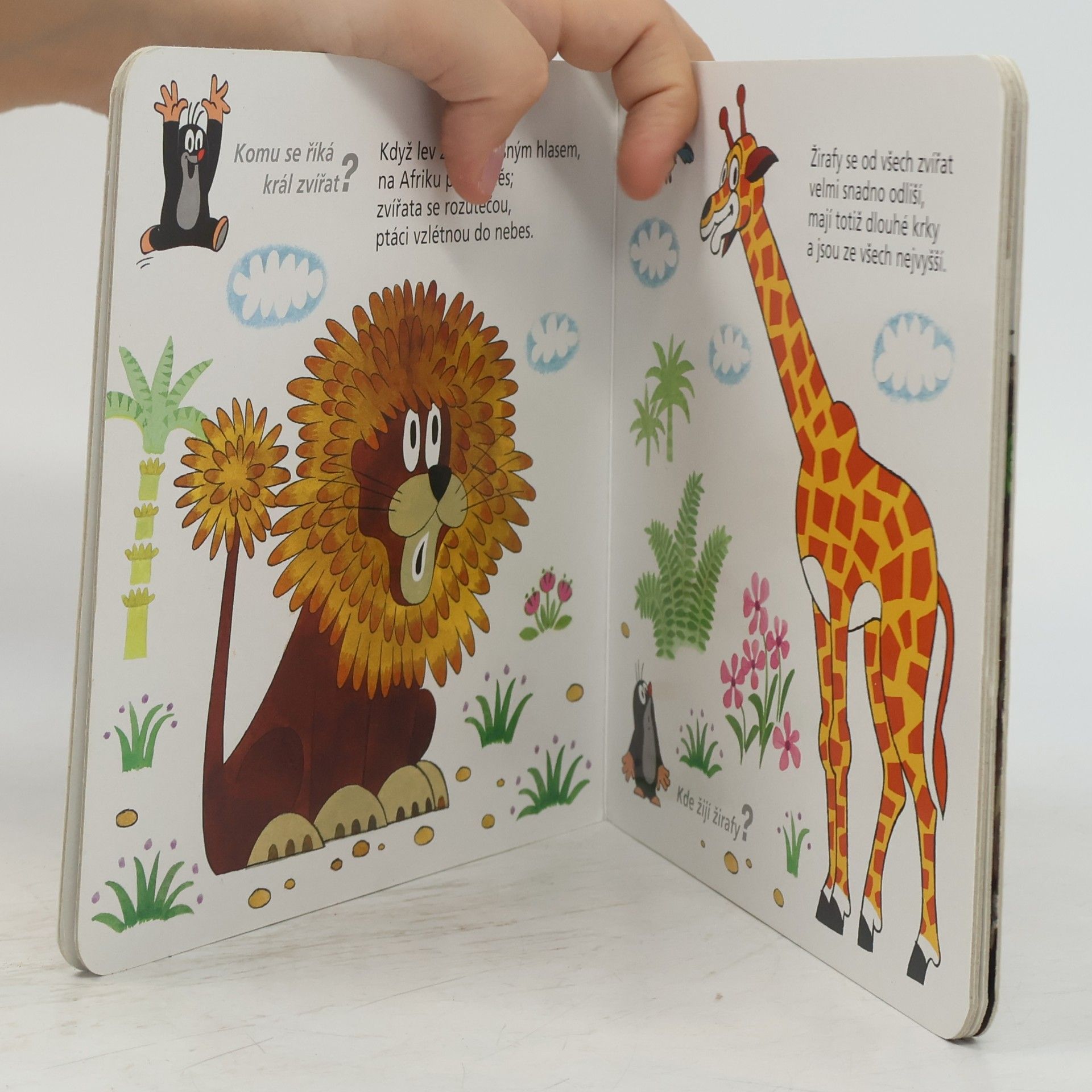 Jiří Žáček Krtek v ZOO