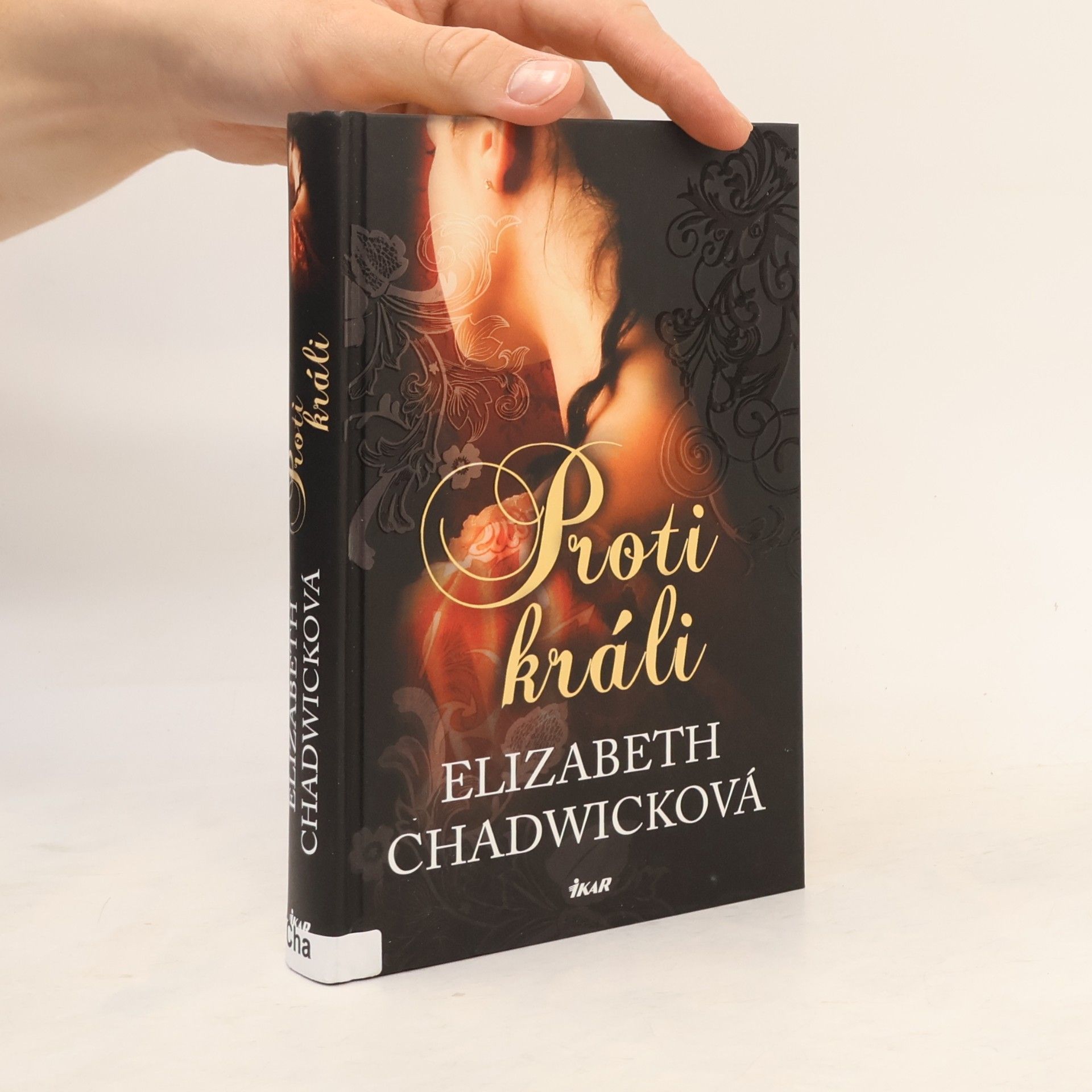 Elizabeth Chadwick Proti králi