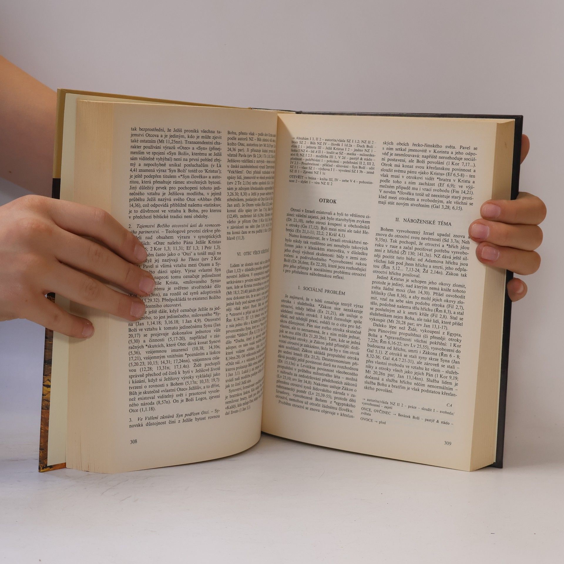 Xavier Léon Dufour Slovník biblické teologie