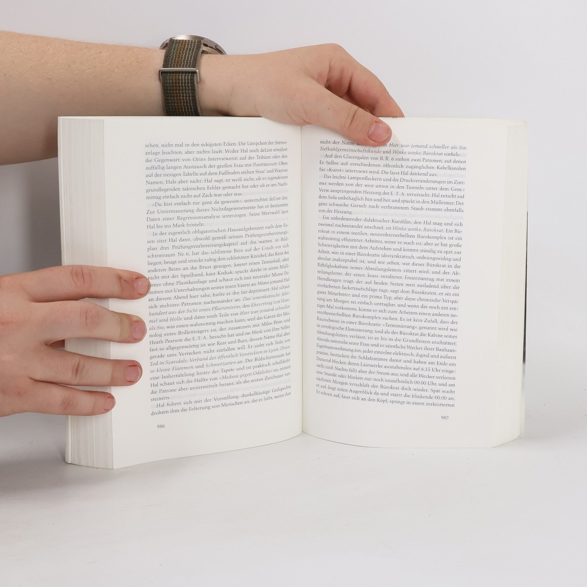 David Foster Wallace Unendlicher Spaß