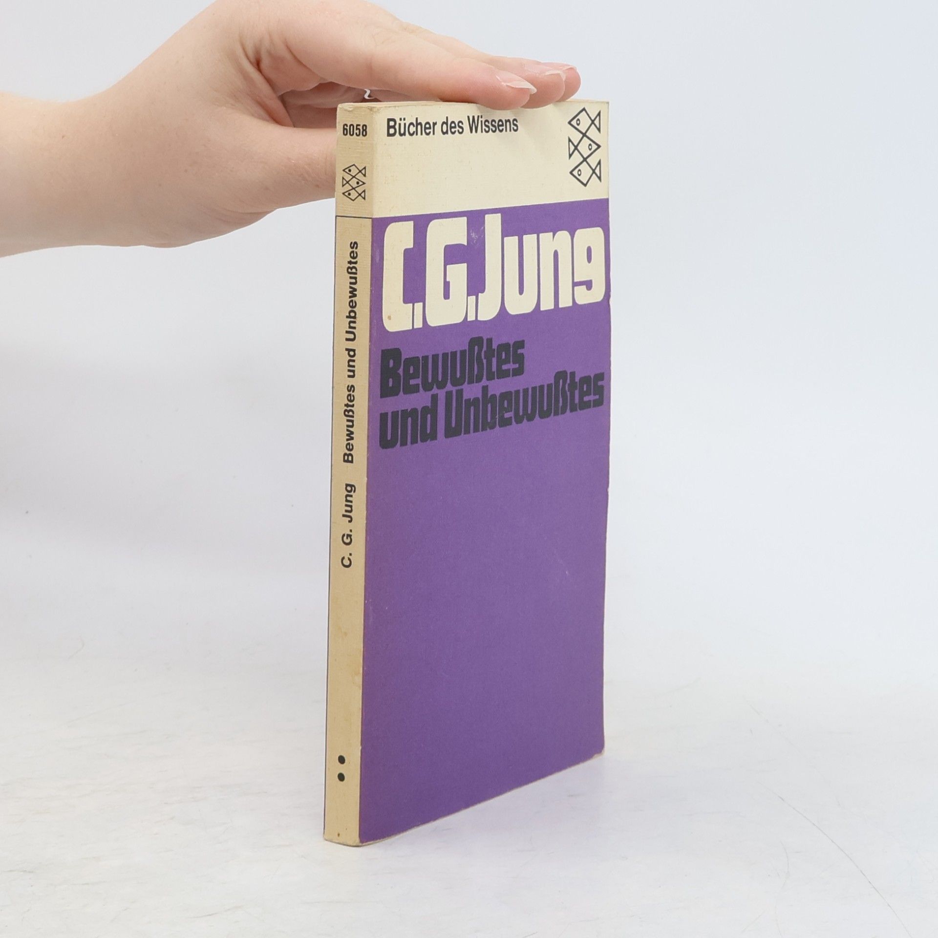 Carl Jung Bewusstes und Unbewusstes