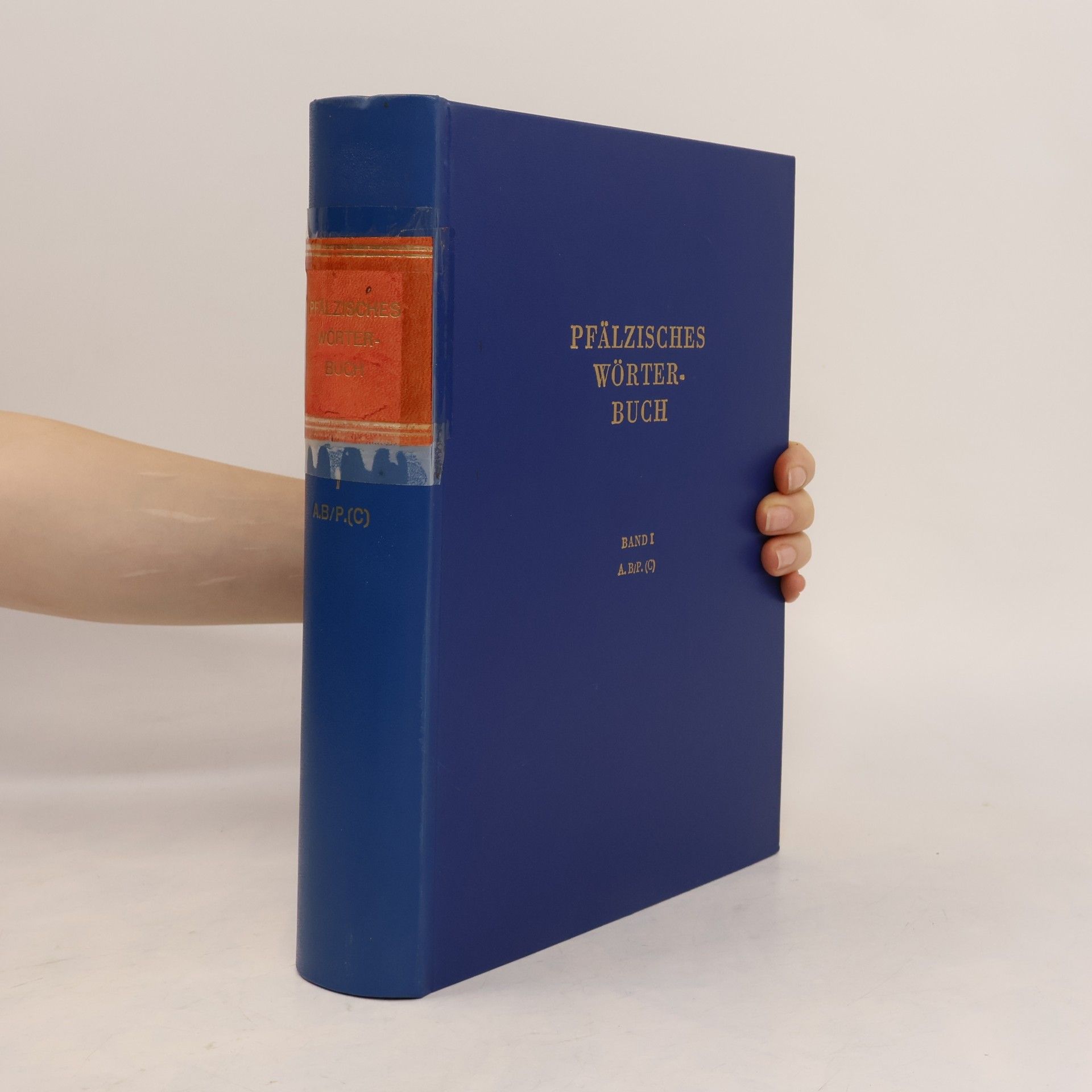 Julius Krämer Pfälzisches Wörterbuch I