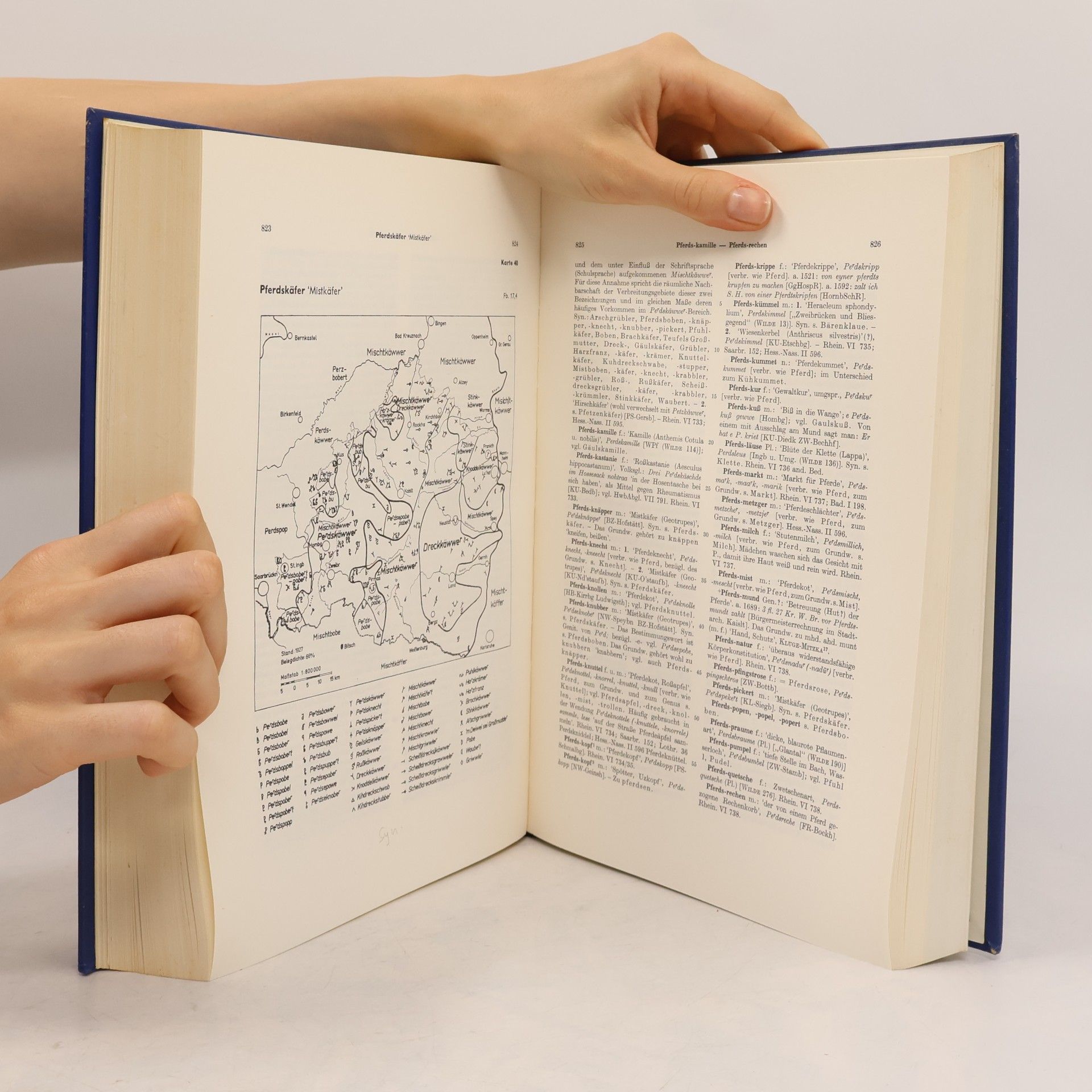 Ernst Christmann Pfälzisches Wörterbuch I