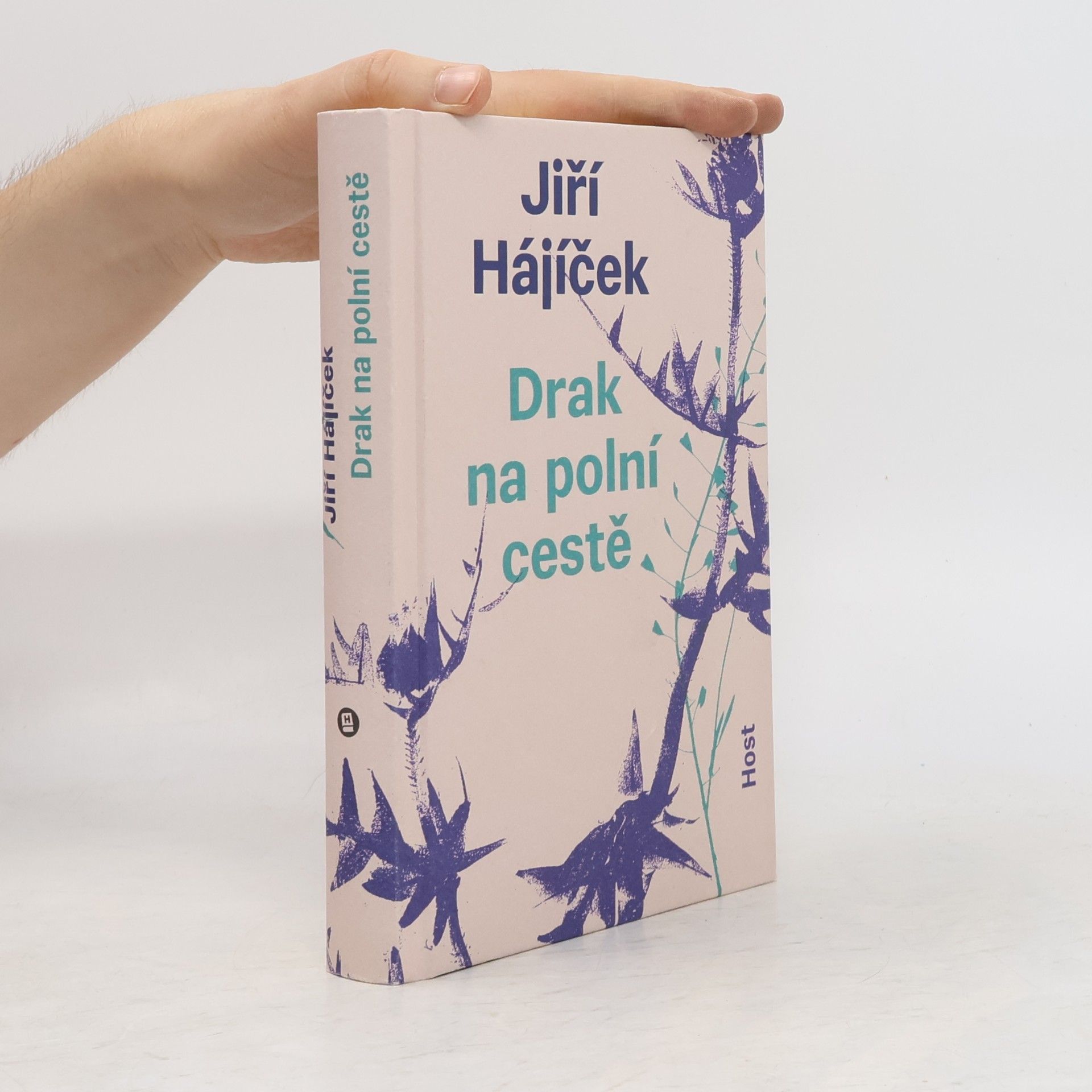 Jiří Hájíček Drak na polní cestě