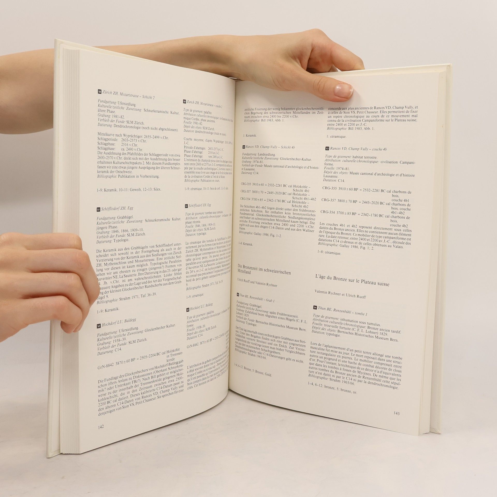 Christin Osterwalder Antiqua - 15: Chronologie