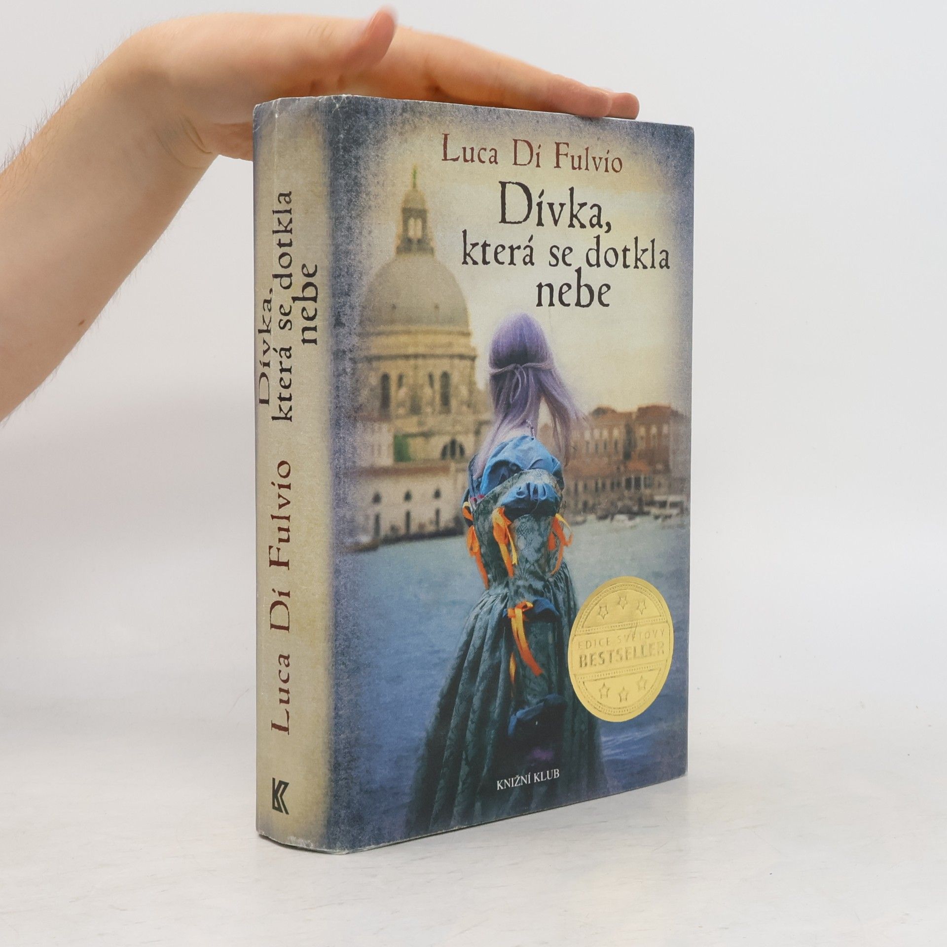 Dívka, která se dotkla nebe