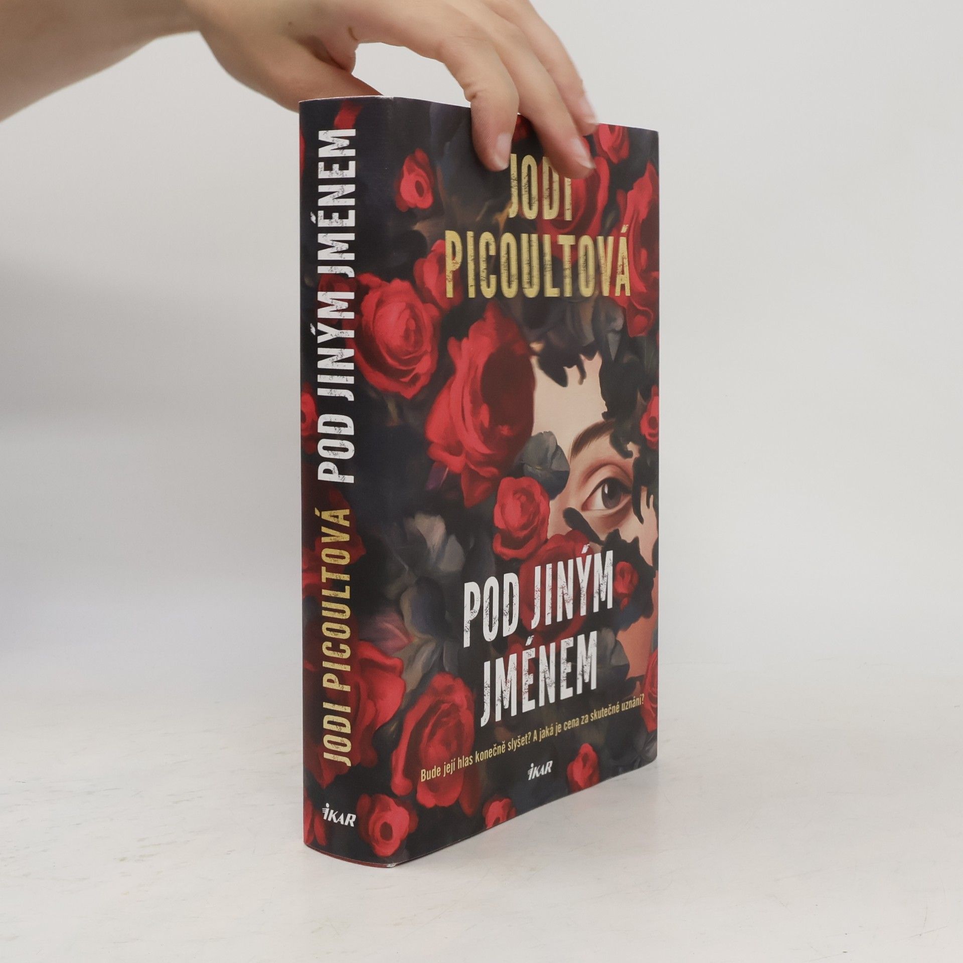 Jodi Picoult Pod jiným jménem