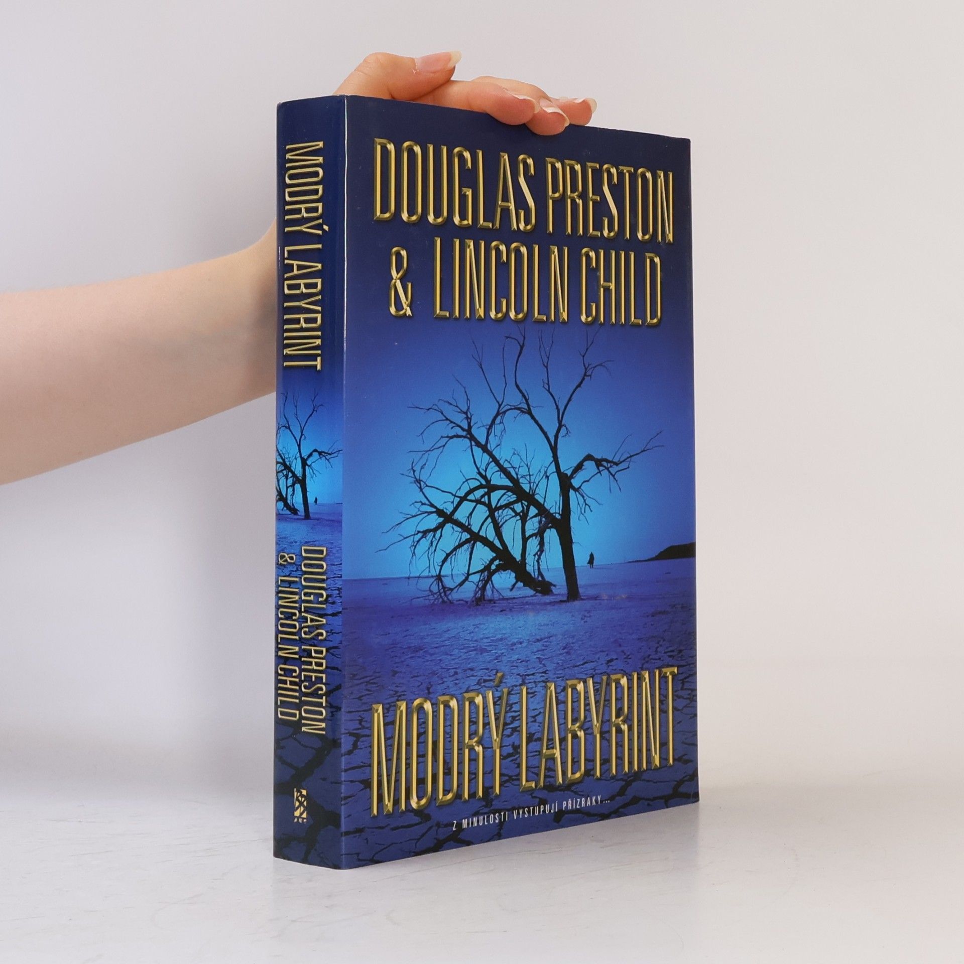 Douglas Preston Modrý labyrint