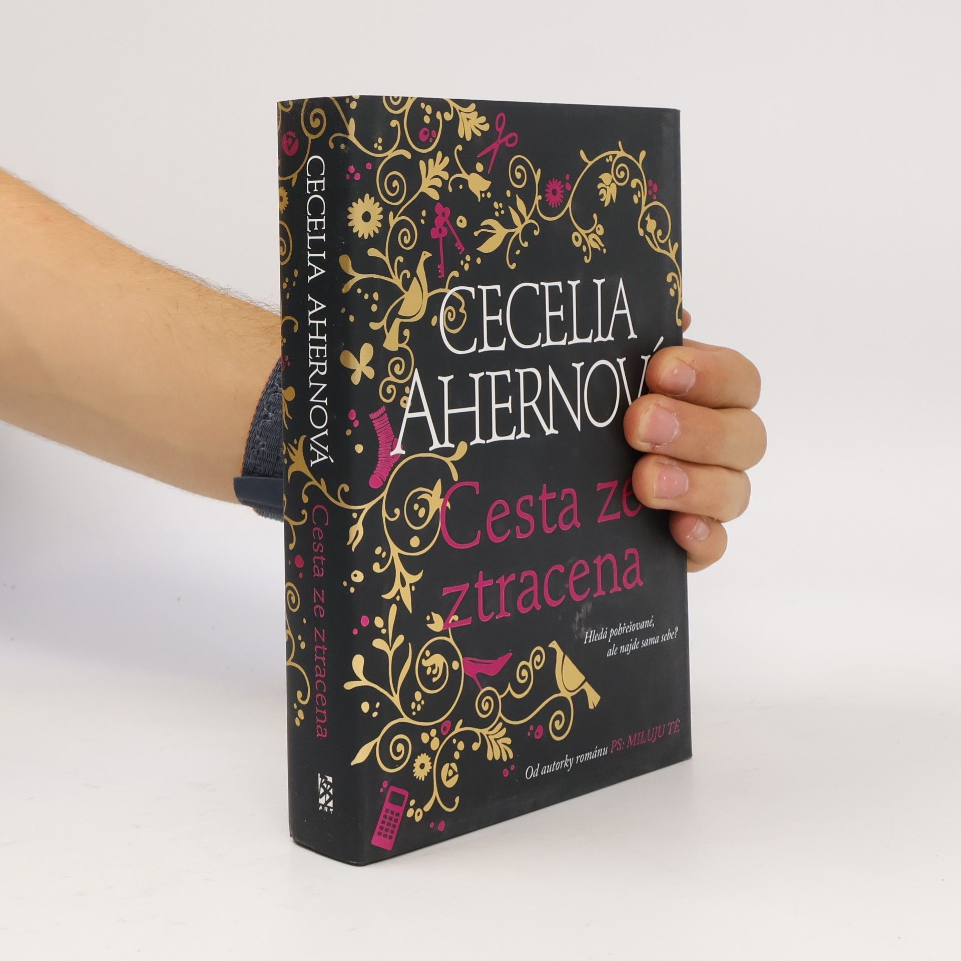 Cecelia Ahern Cesta ze ztracena