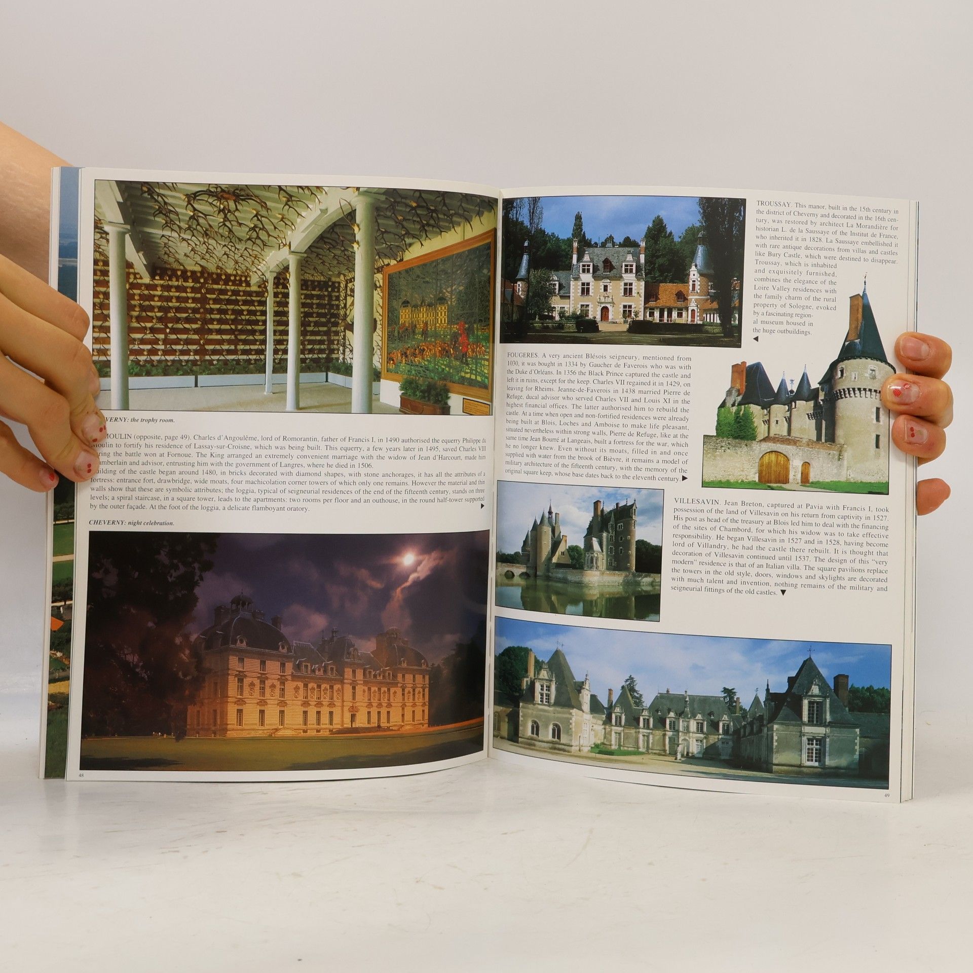 Kolektiv autorů The Chateaux of the Loir
