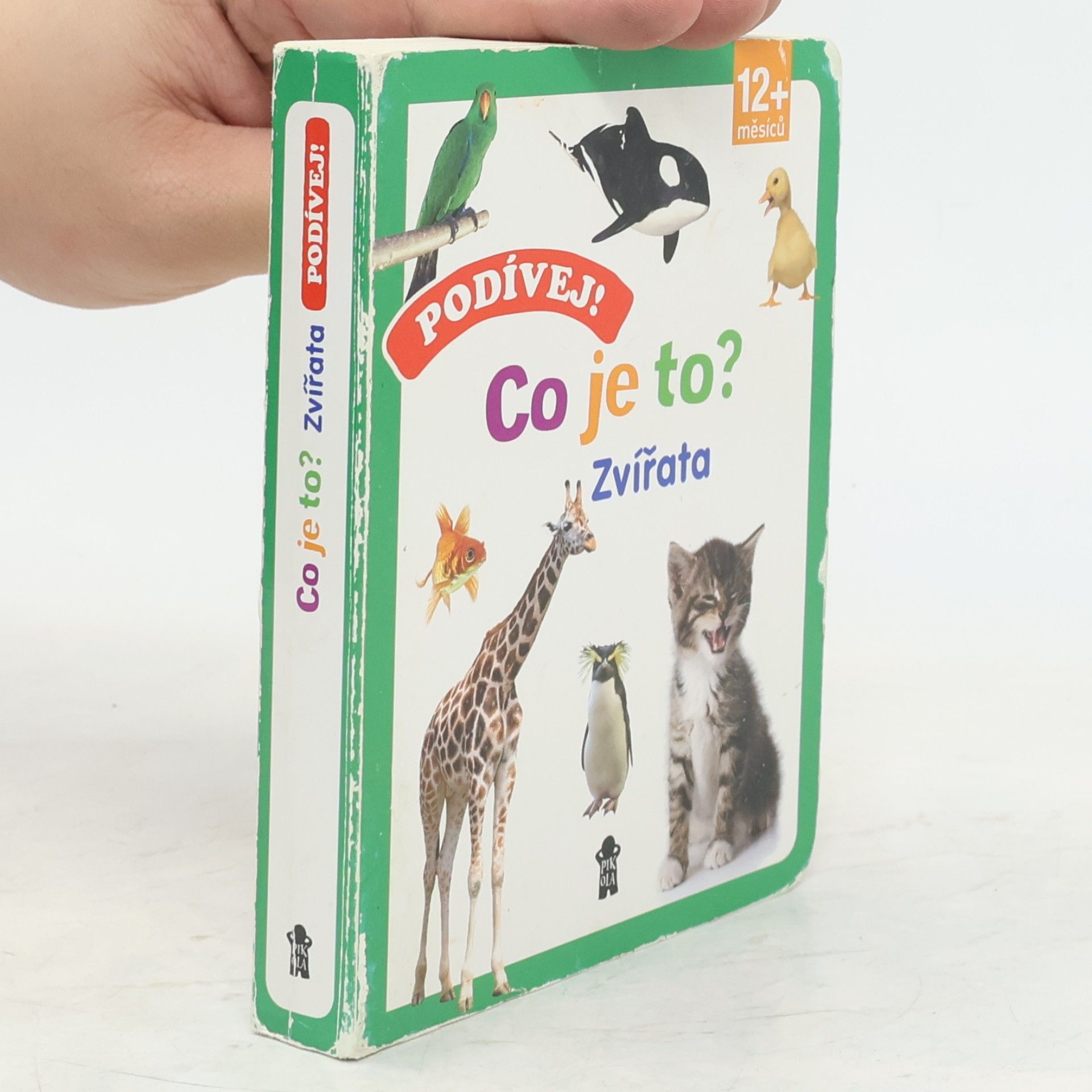Auteurscollectief Podívej! Co je to?. Zvířata Zvířata