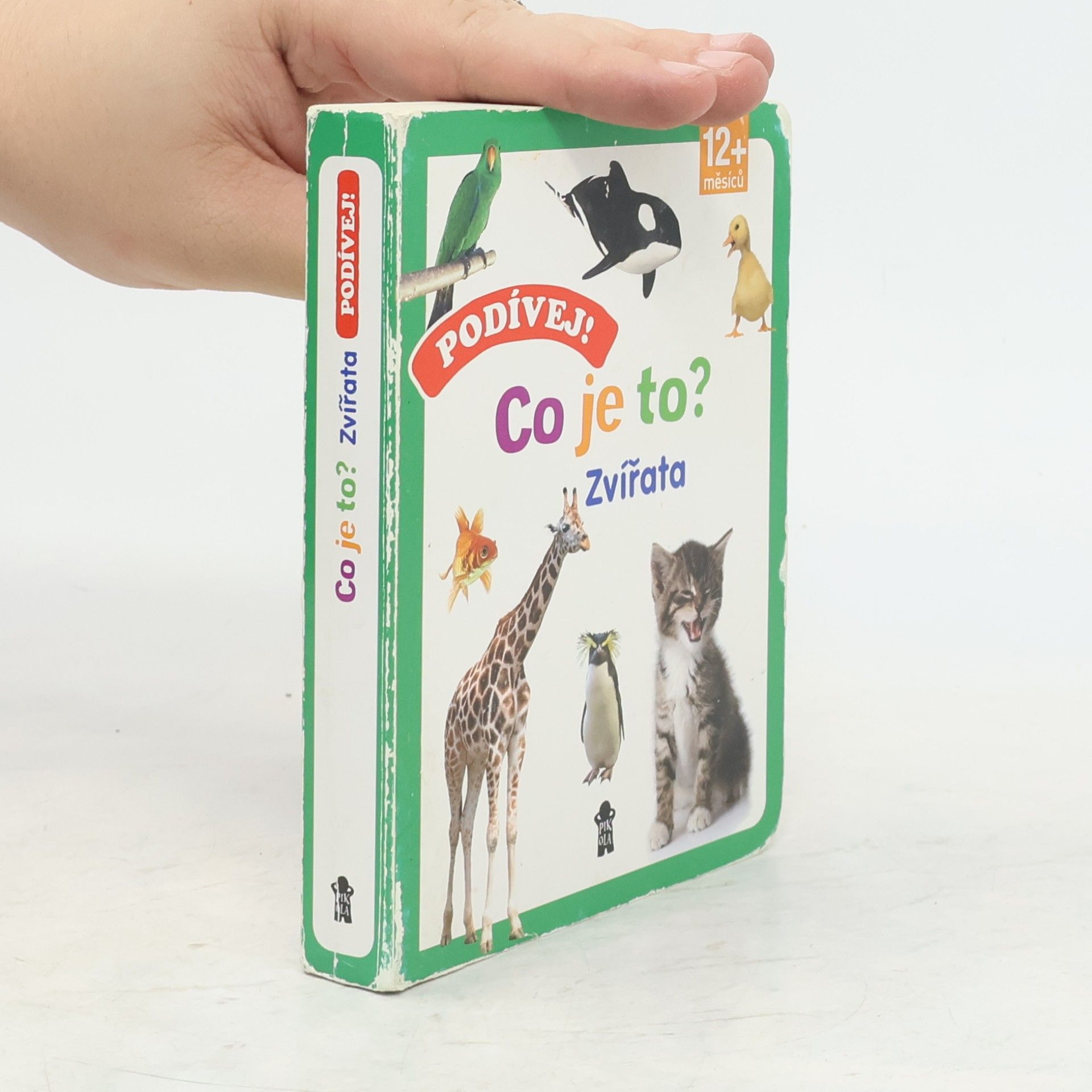 Auteurscollectief Podívej! Co je to?. Zvířata Zvířata