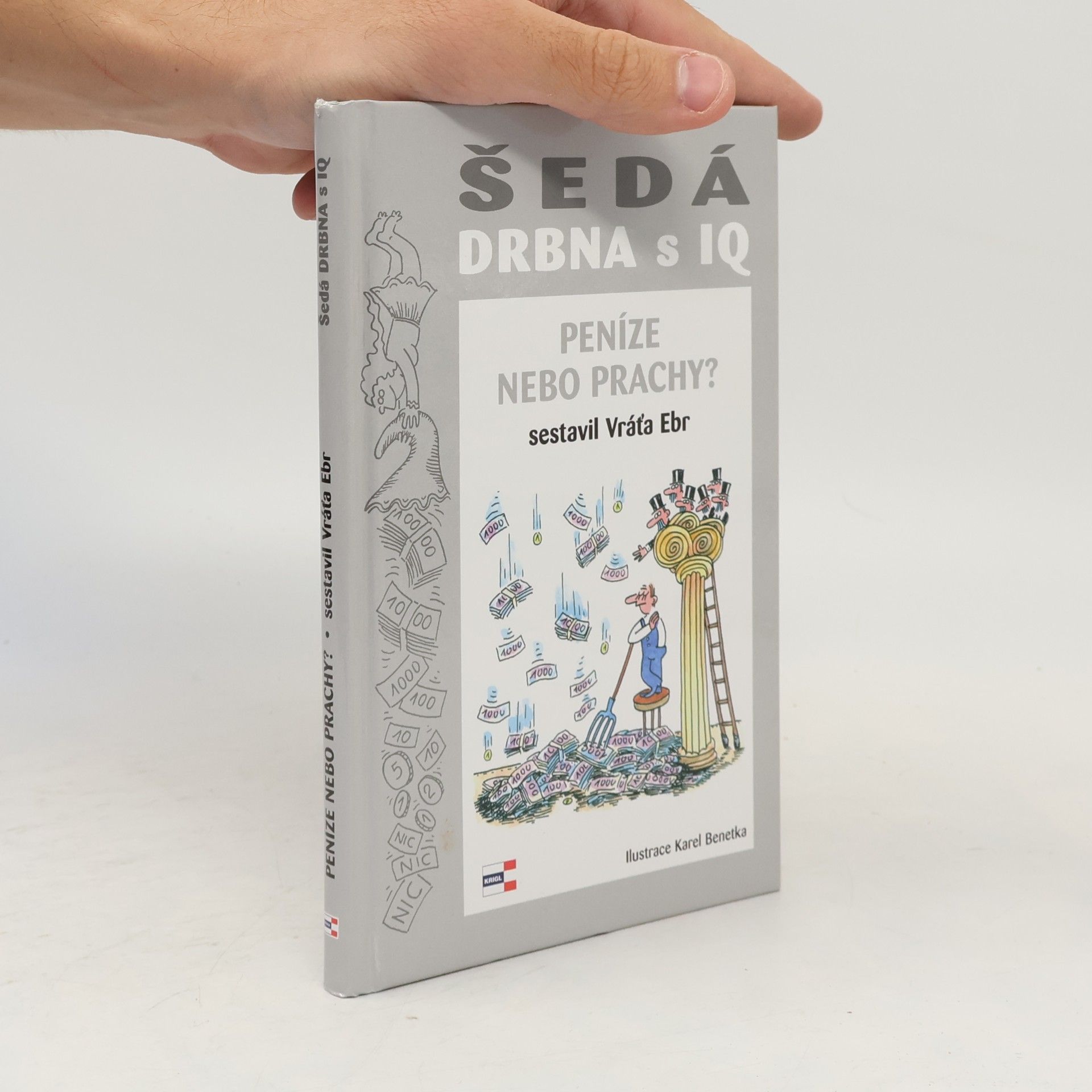 Vratislav Ebr Šedá drbna s IQ - Peníze nebo prachy?