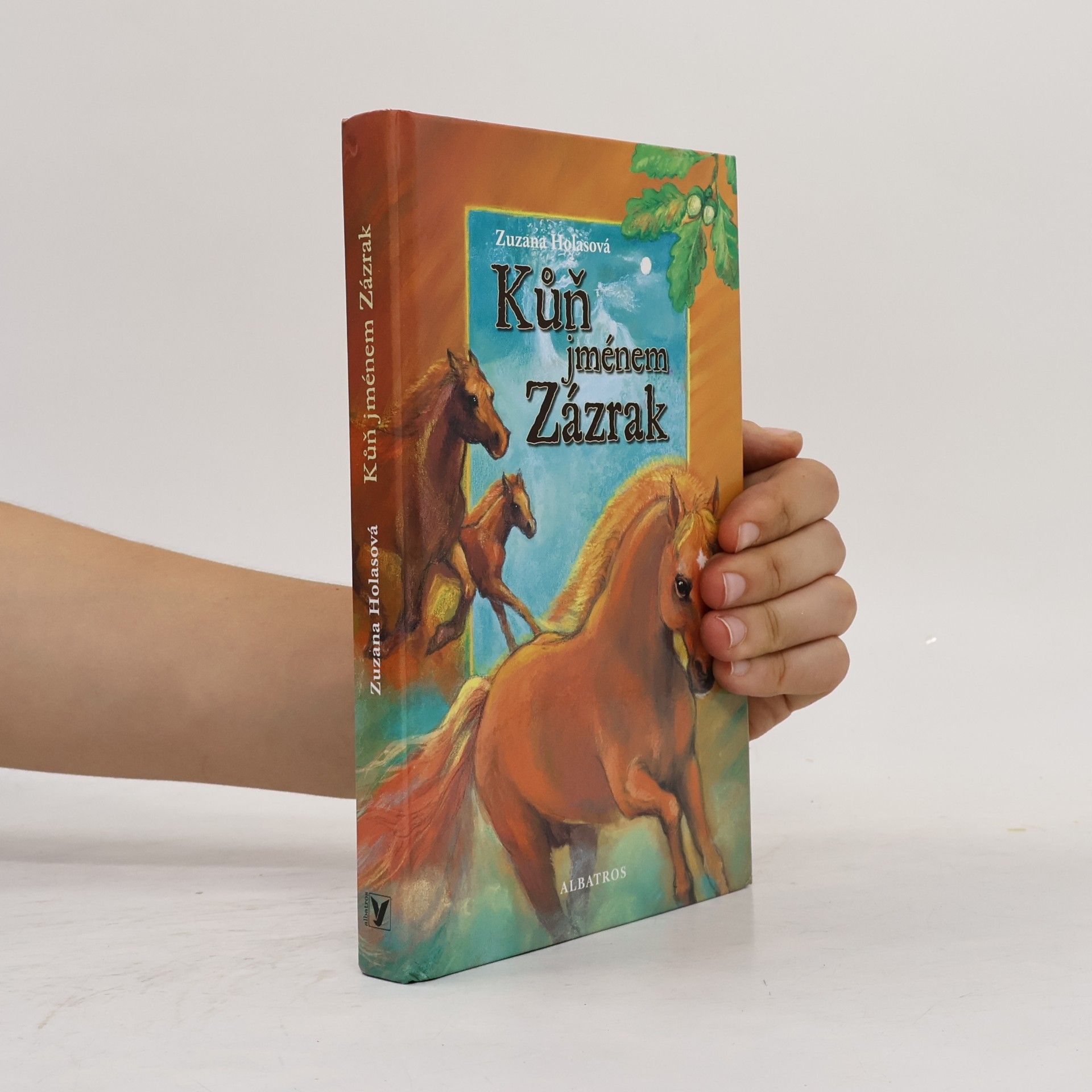 Zuzana Holasová Kůň jménem Zázrak