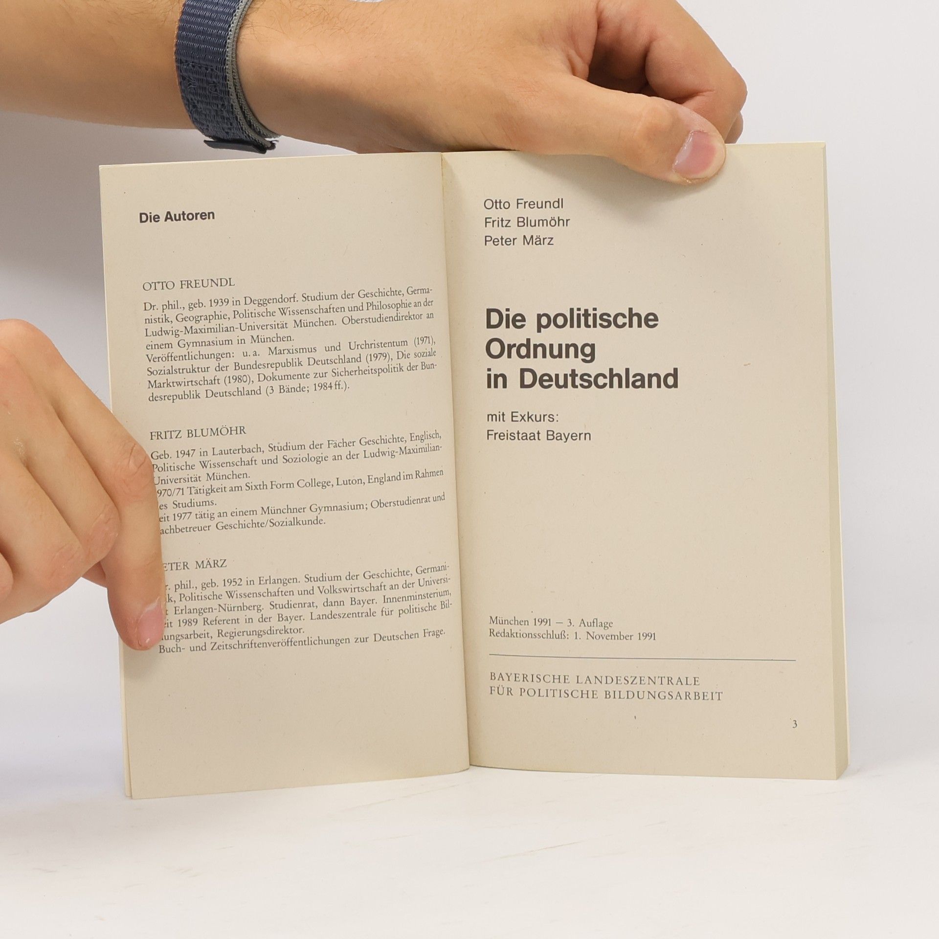 Kolektiv autorů Die politische Ordnung in Deutschland