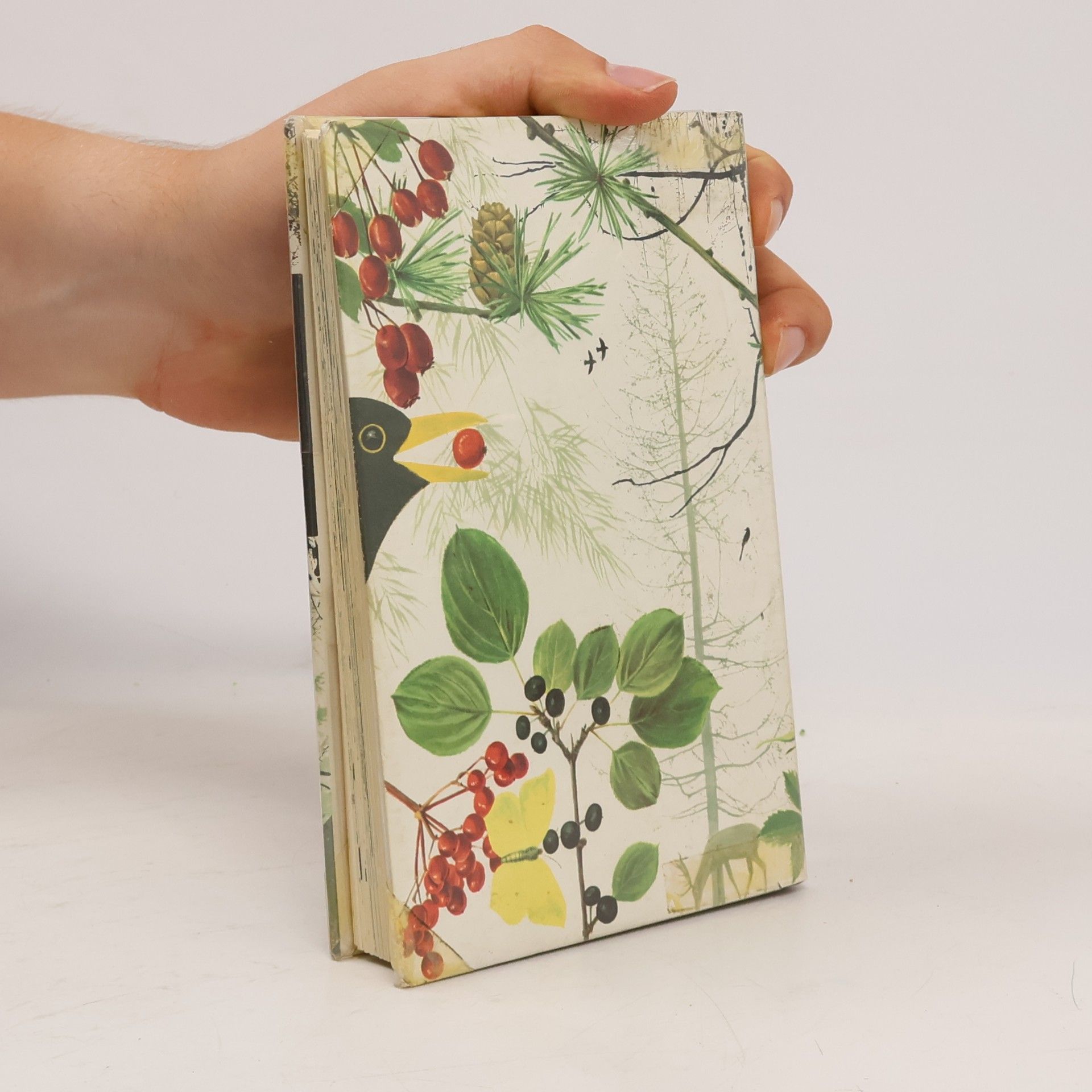 Helge Vedel Bäume und Sträucher in Farben