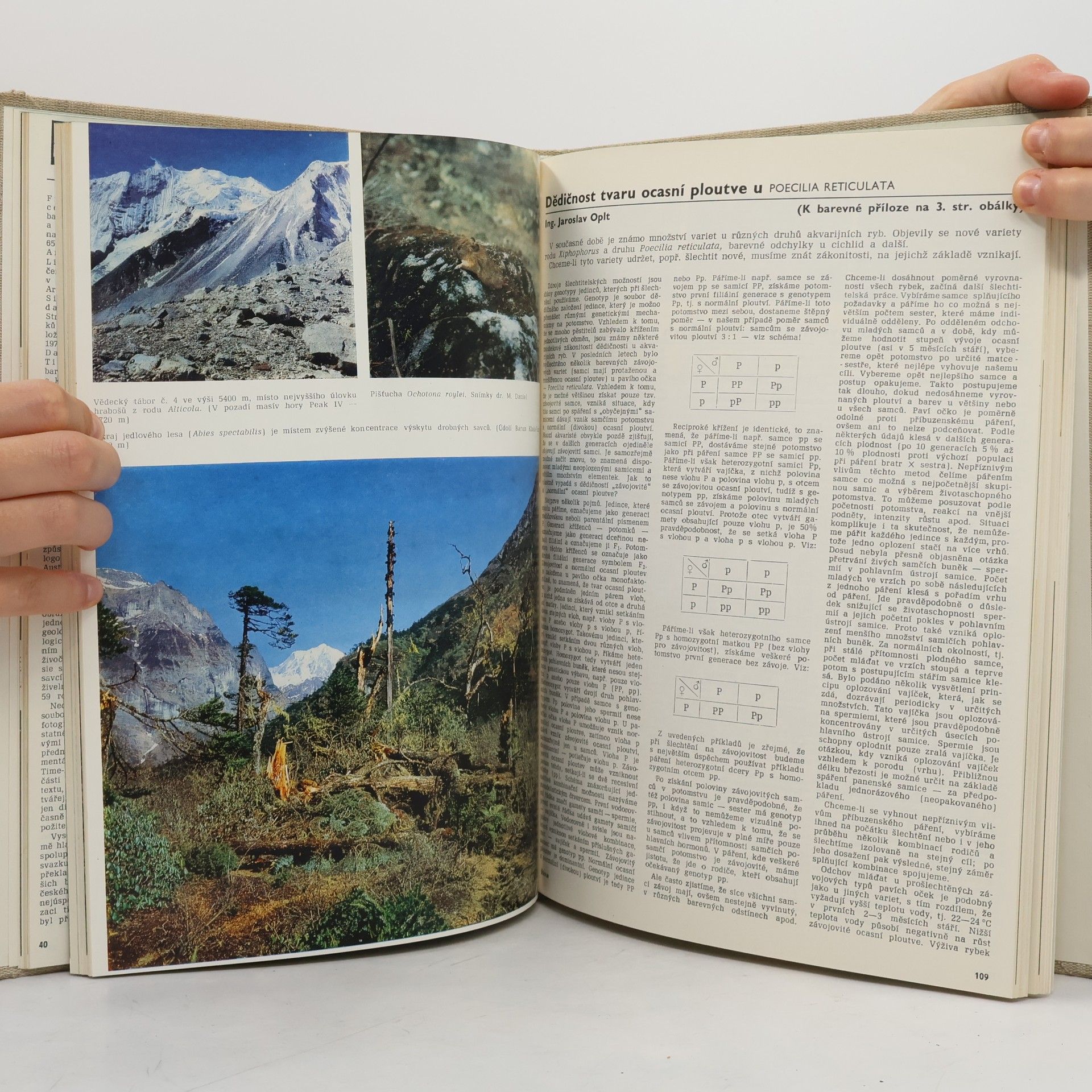 Kolektív autorov Živa 1.-6. 1974