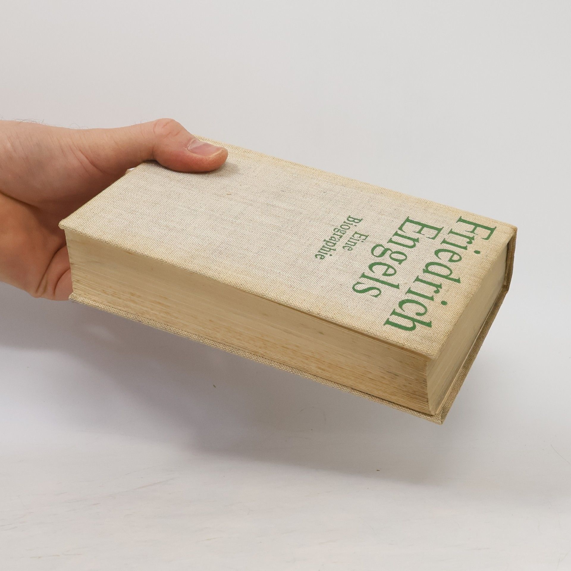 Kolektiv autorů Friedrich Engels. Eine Biografie