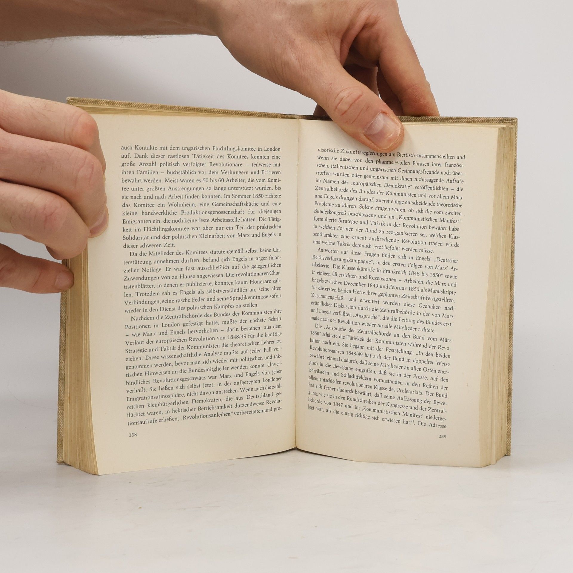 Kolektiv autorů Friedrich Engels. Eine Biografie
