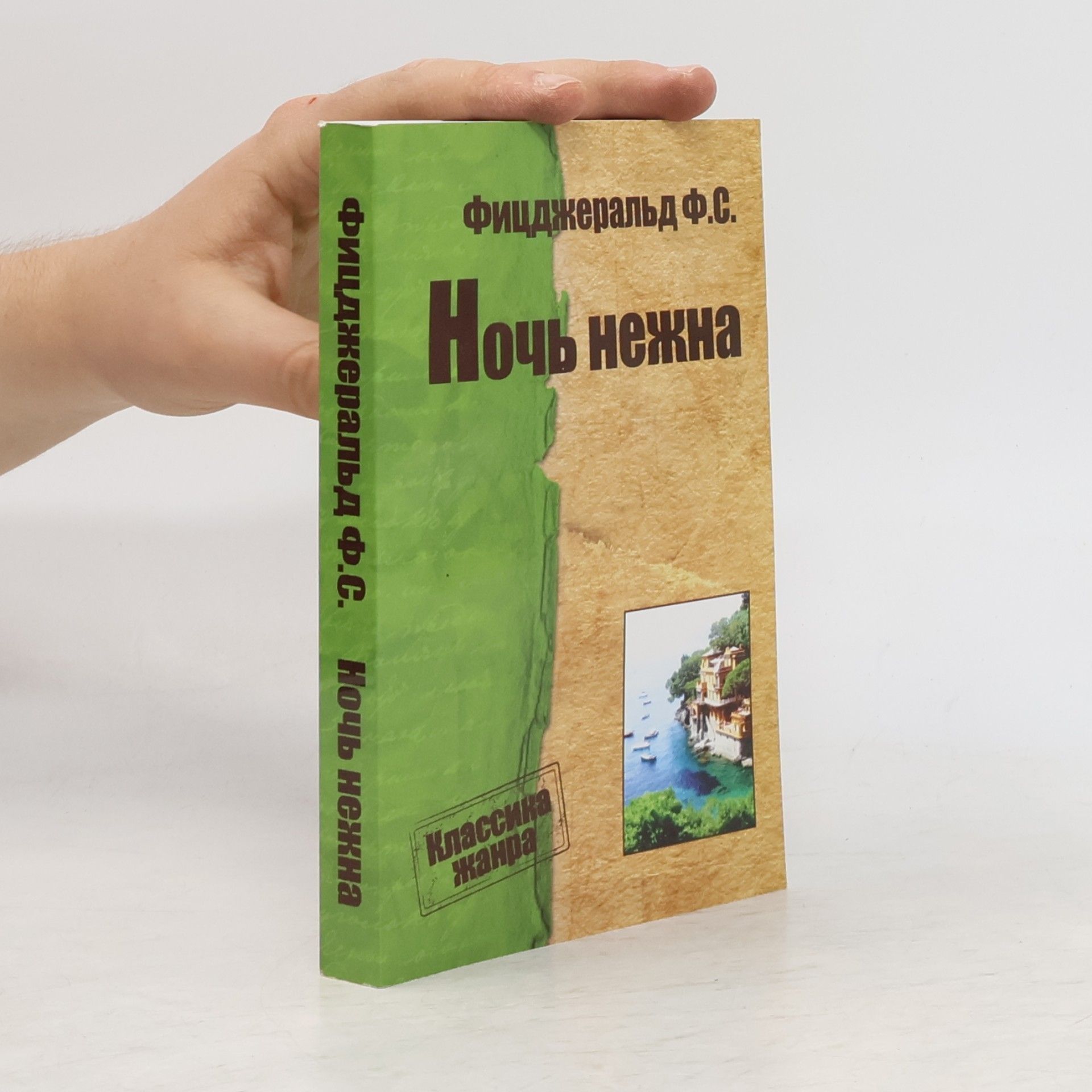 Фрэнсис Фицджеральд Ночь нежна