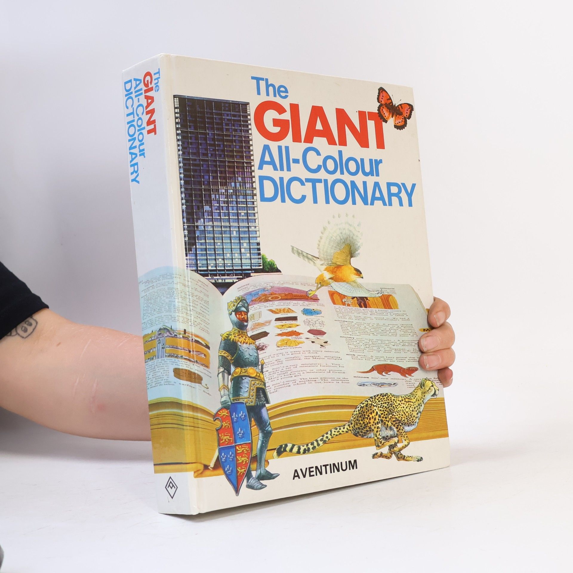 Stuart A. Courtis The Giant All-Colour Dictionary