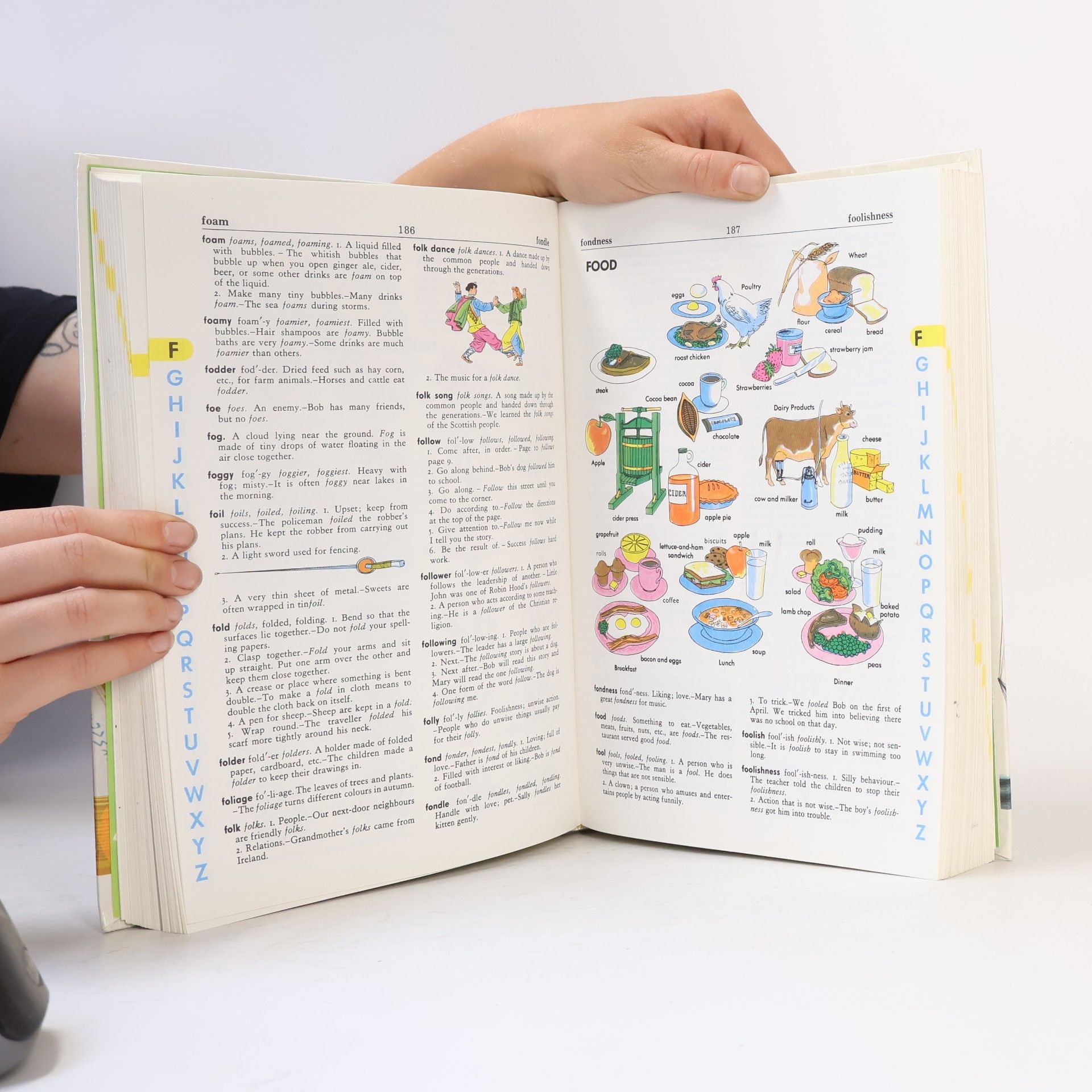 Stuart A. Courtis The Giant All-Colour Dictionary