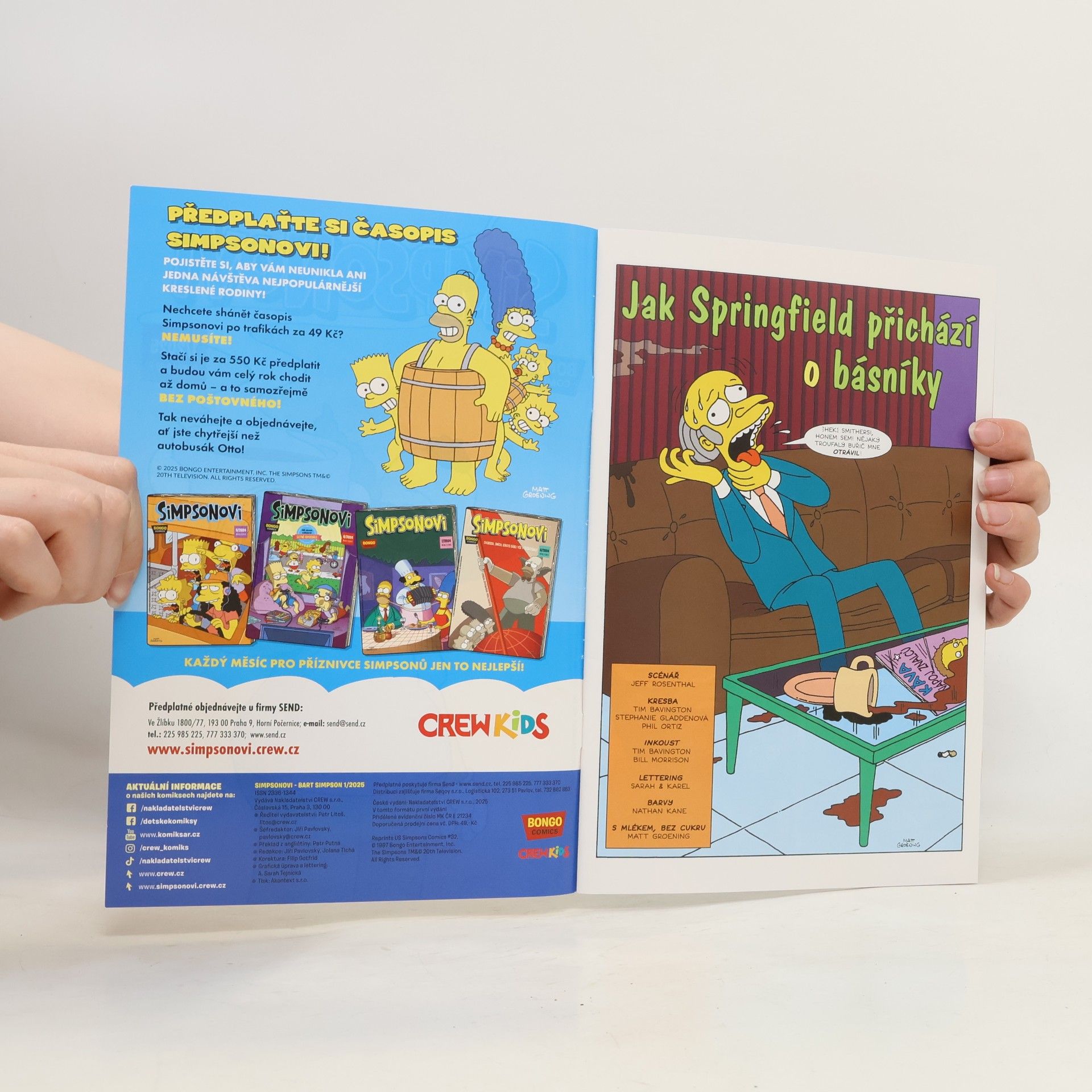 Matt Groening Simpsonovi 1/2025