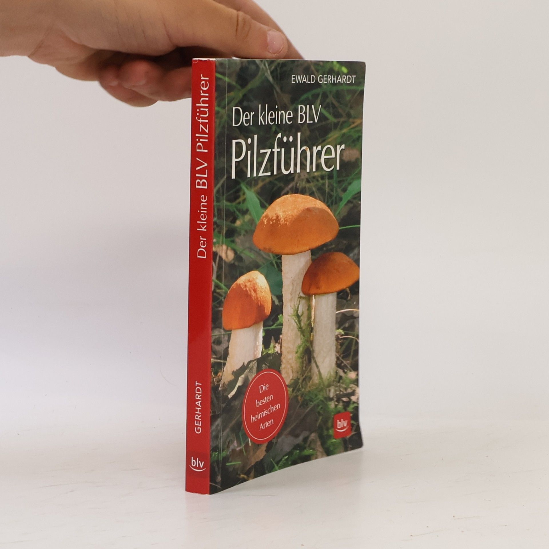 Ewald Gerhardt BLV Pilze: Der kleine BLV Pilzführer