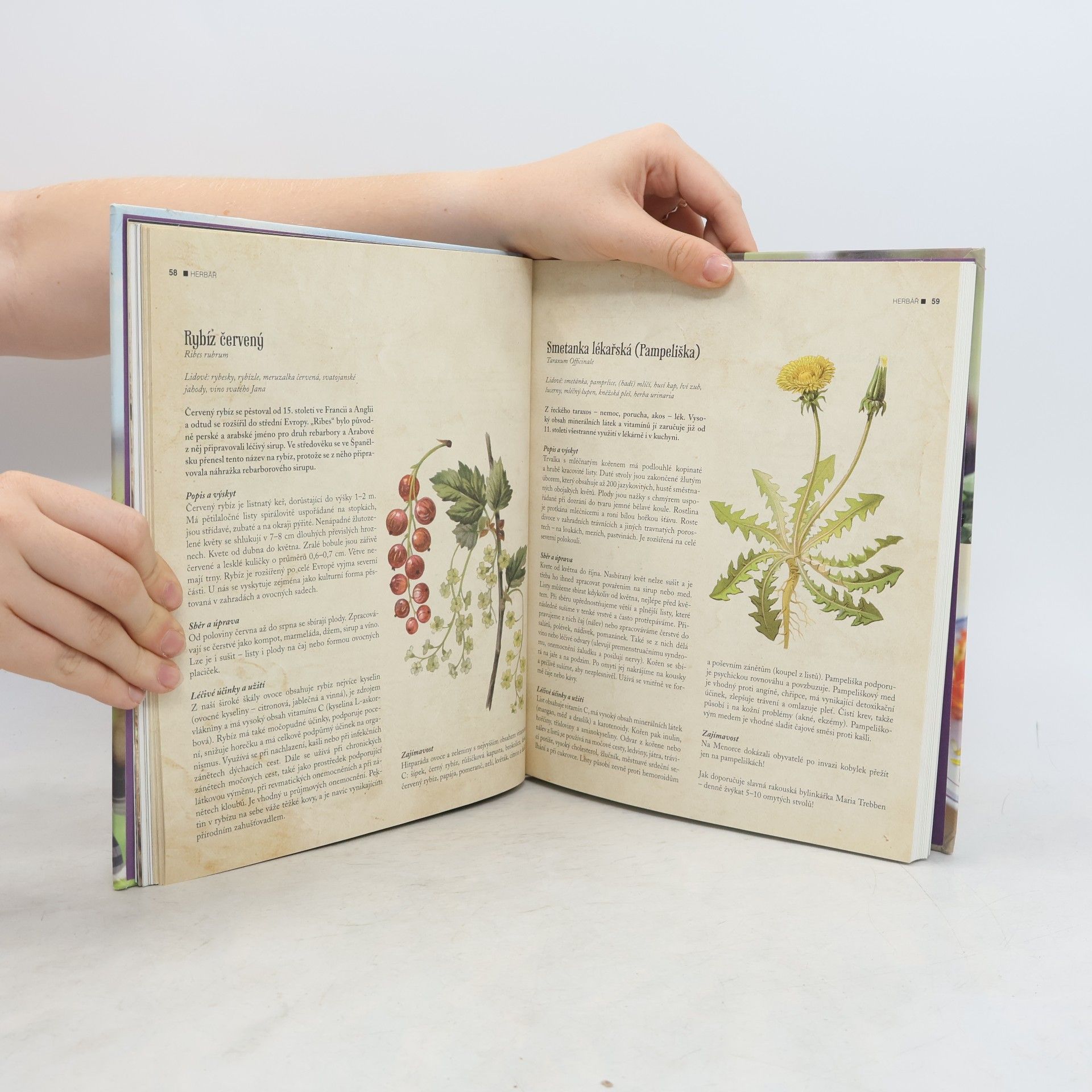 Kateřina Winterová Vaříme podle Herbáře