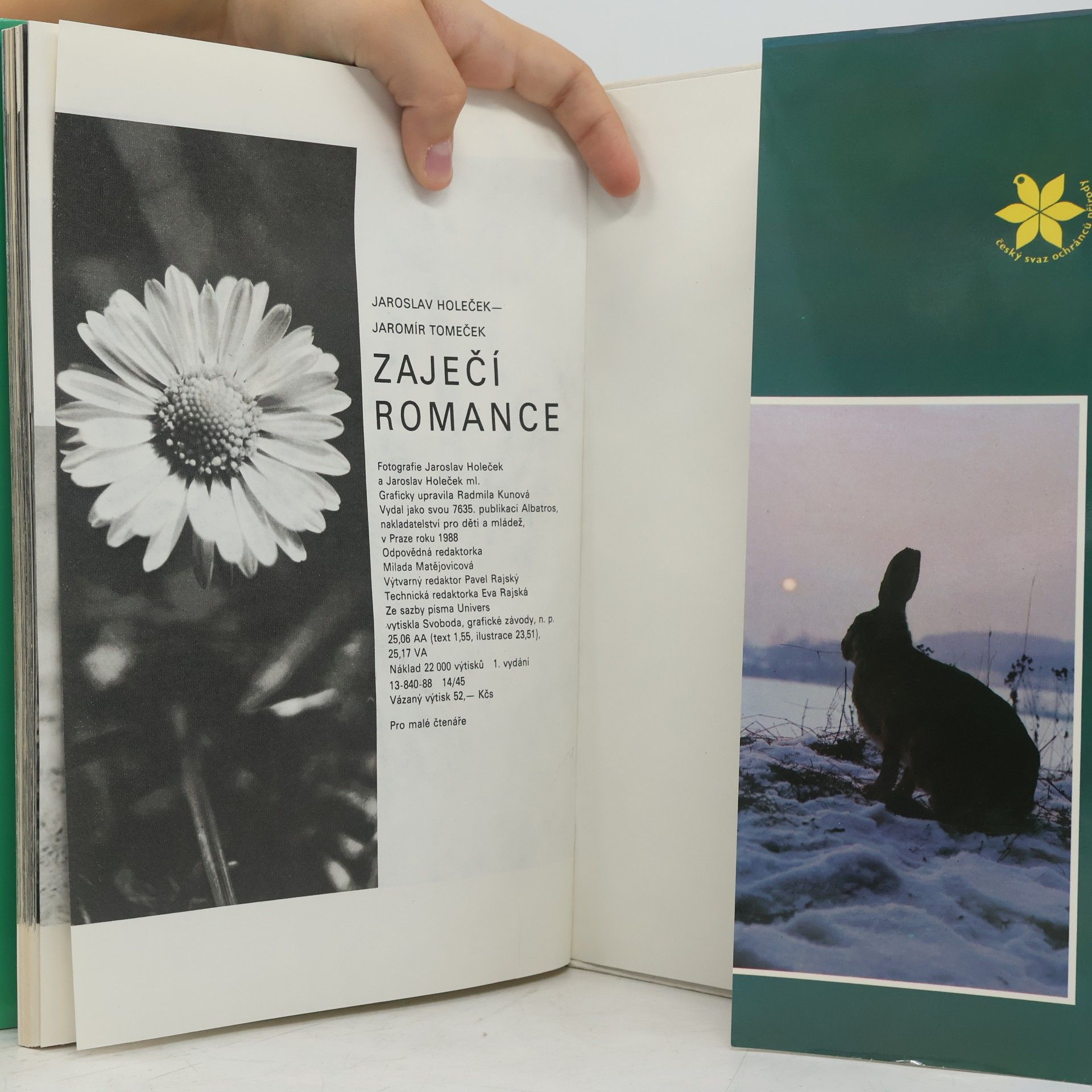 Jaroslav Holeček Zaječí romance