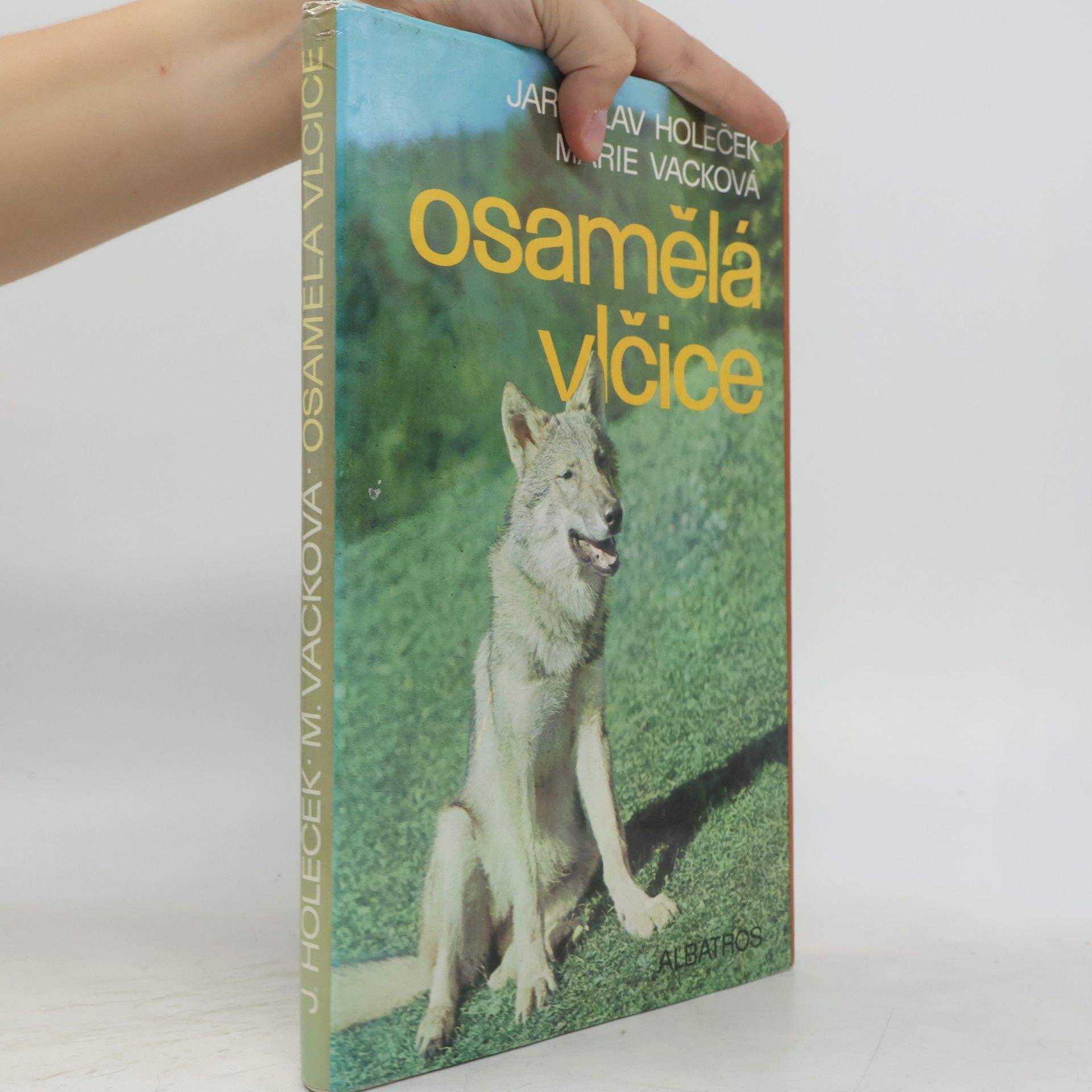 Osamělá vlčice