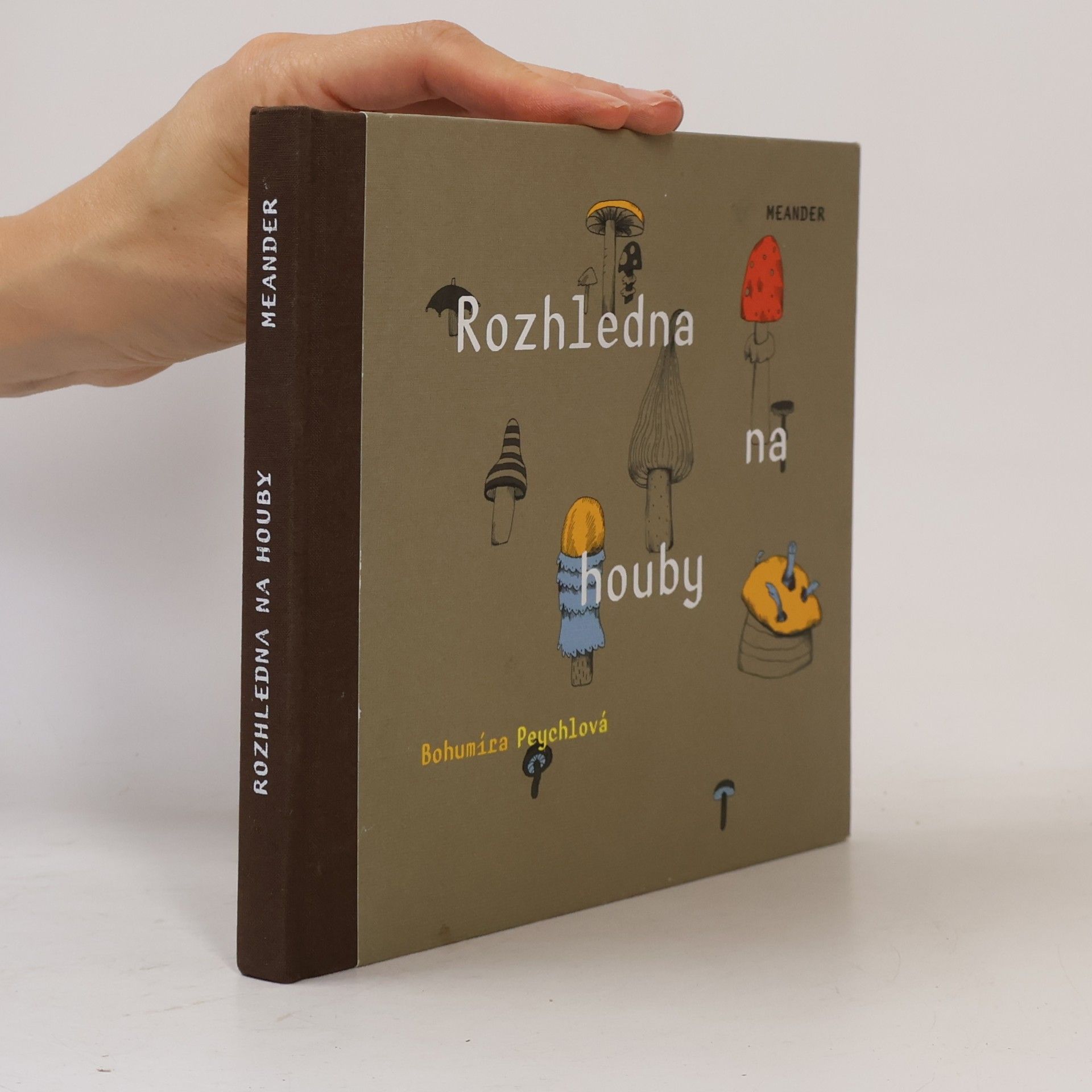 Rozhledna na houby