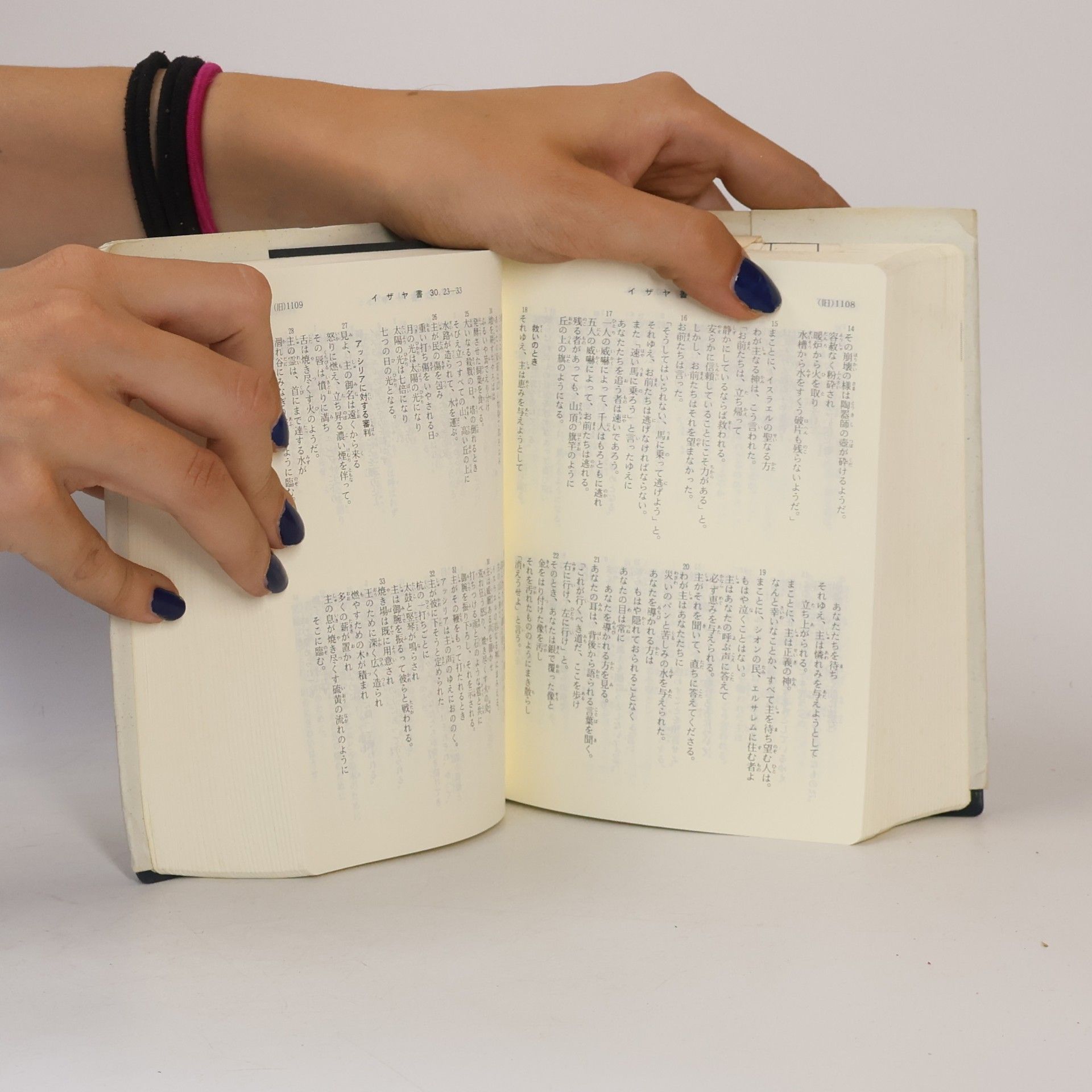 小型聖書新共同訳 NI44