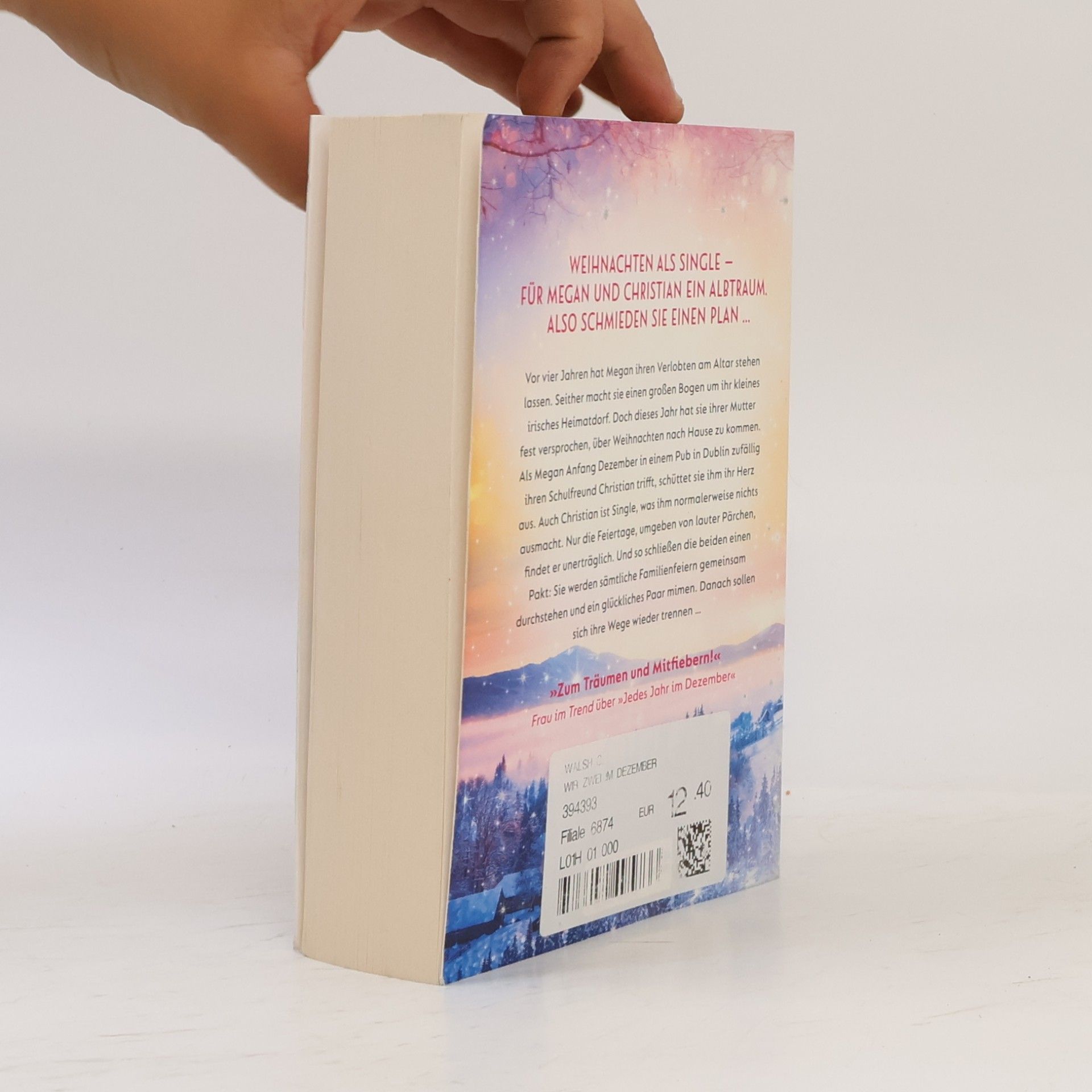 Catherine Walsh Wir zwei im Dezember. Roman